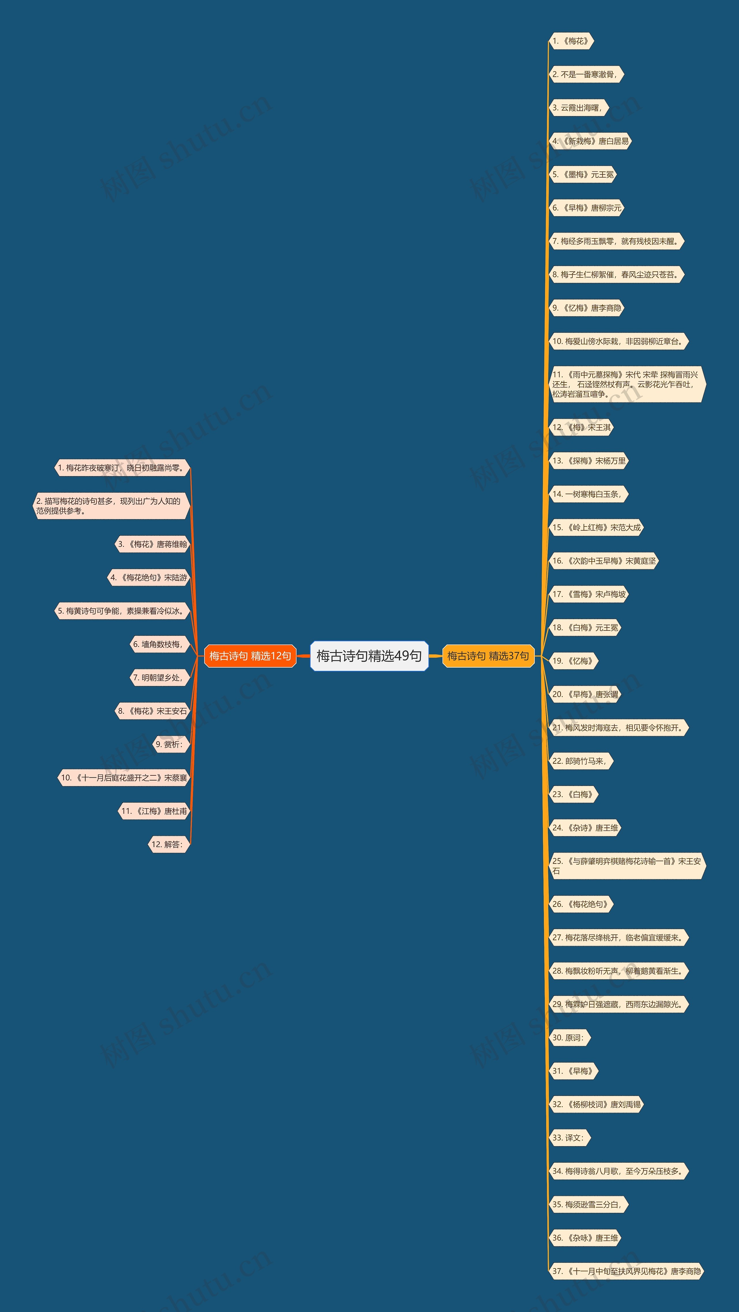 梅古诗句精选49句思维导图