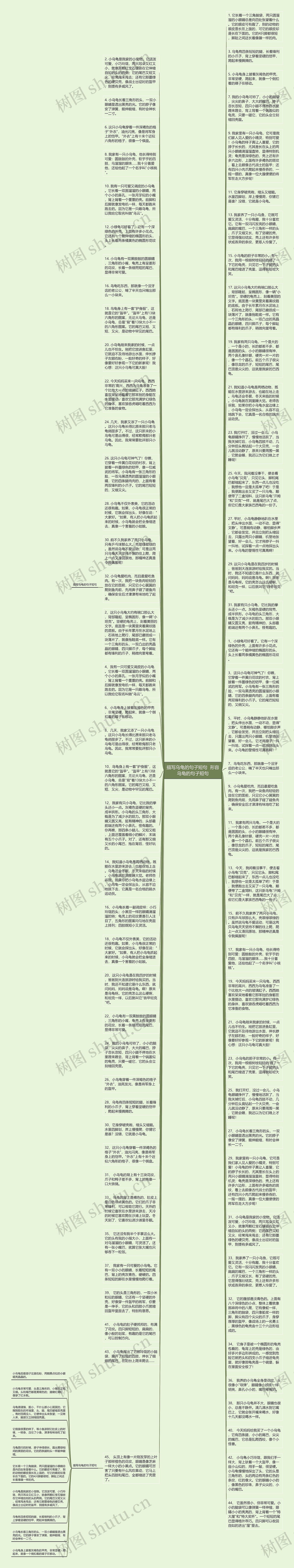 描写乌龟的句子短句  形容乌龟的句子短句思维导图