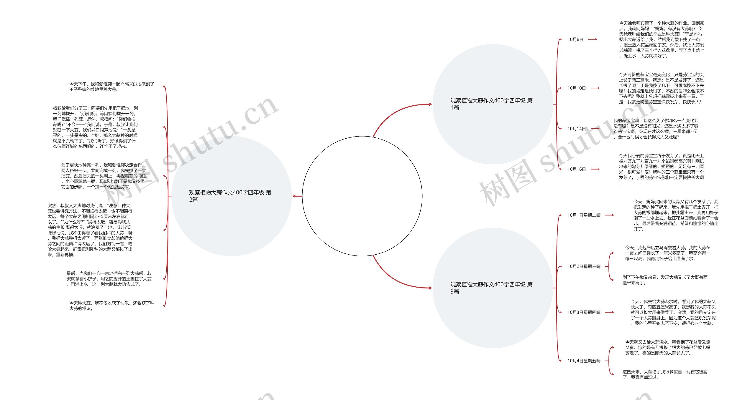 观察植物大蒜作文400字四年级(汇总3篇)思维导图