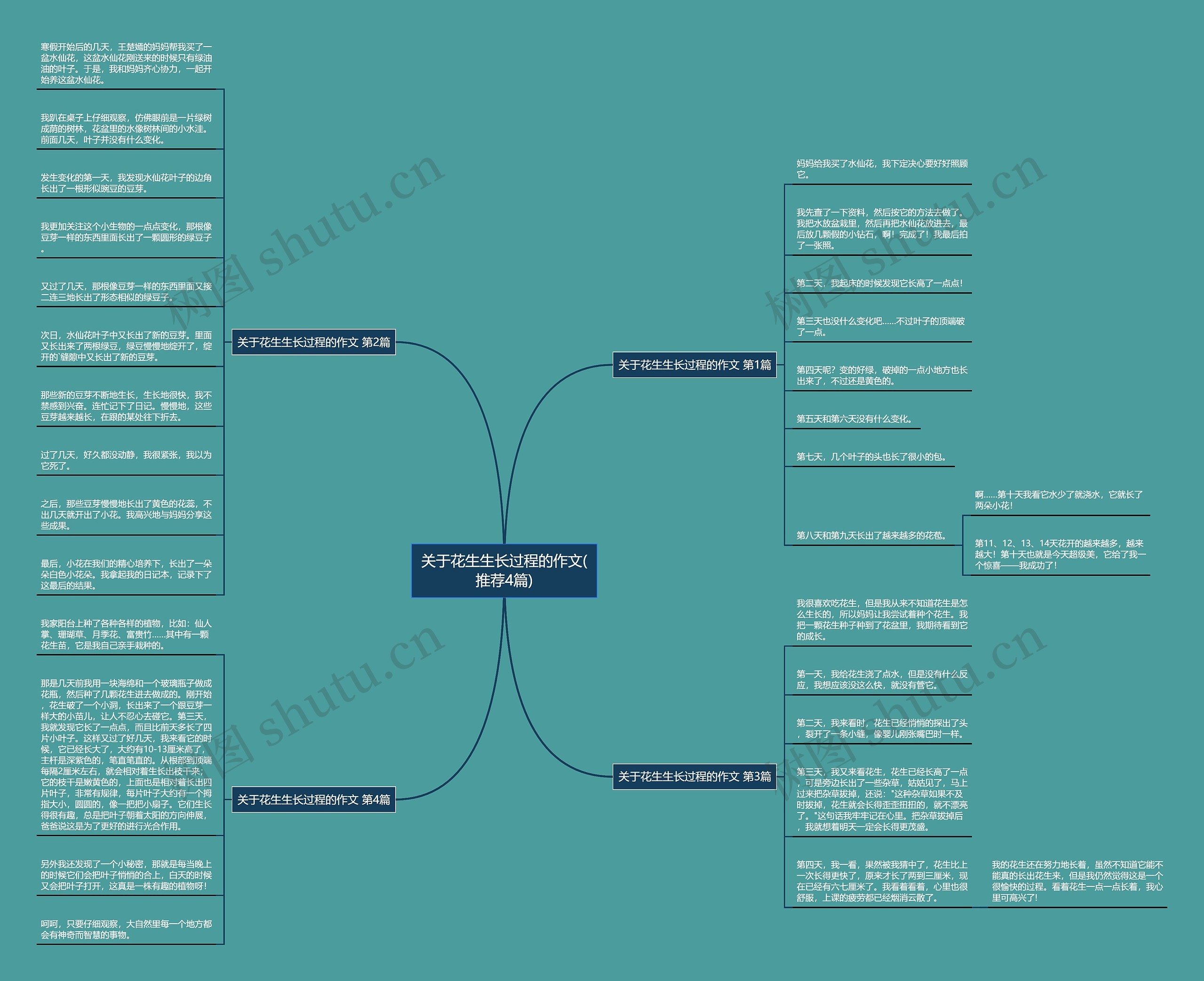 关于花生生长过程的作文(推荐4篇) 关于花生生长过程的作文(推荐4篇)