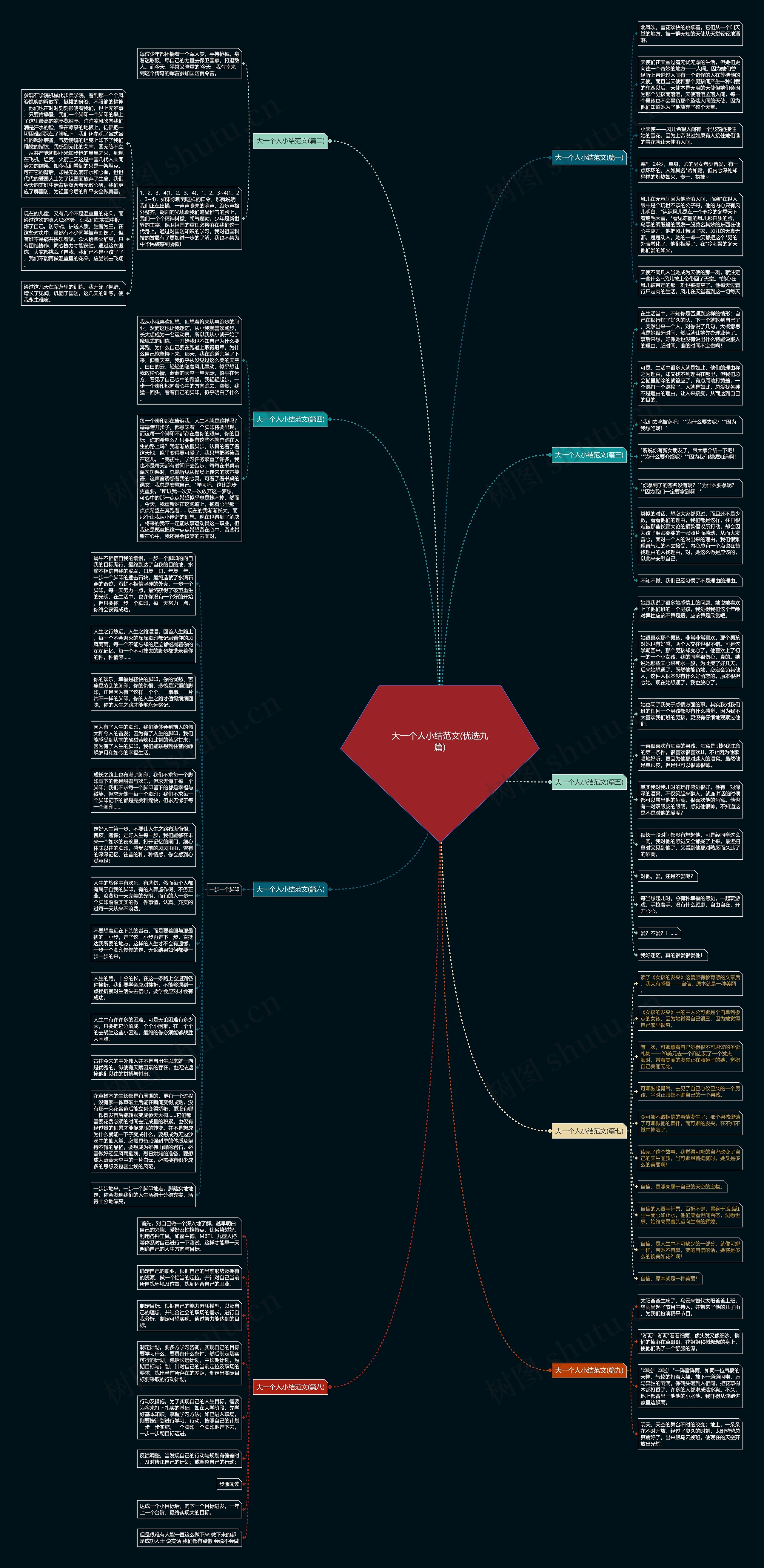 大一个人小结范文(优选九篇)思维导图