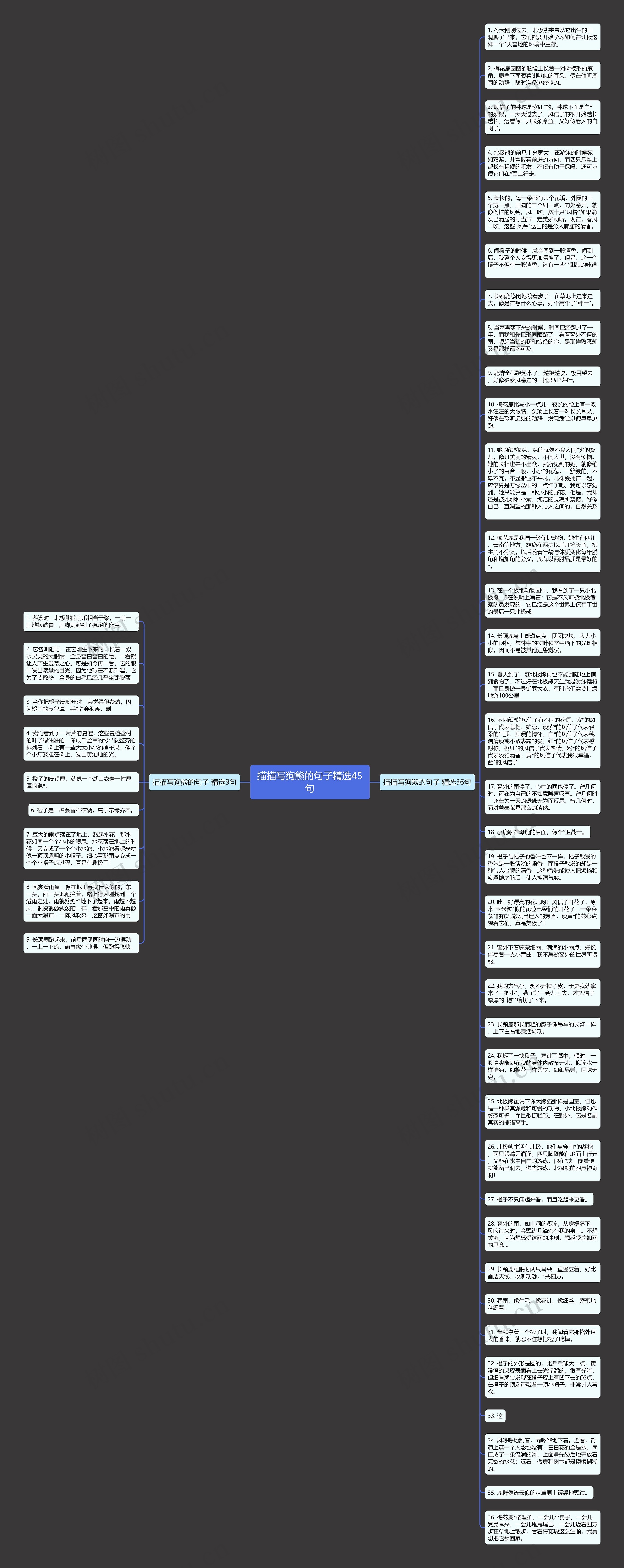描描写狗熊的句子精选45句思维导图