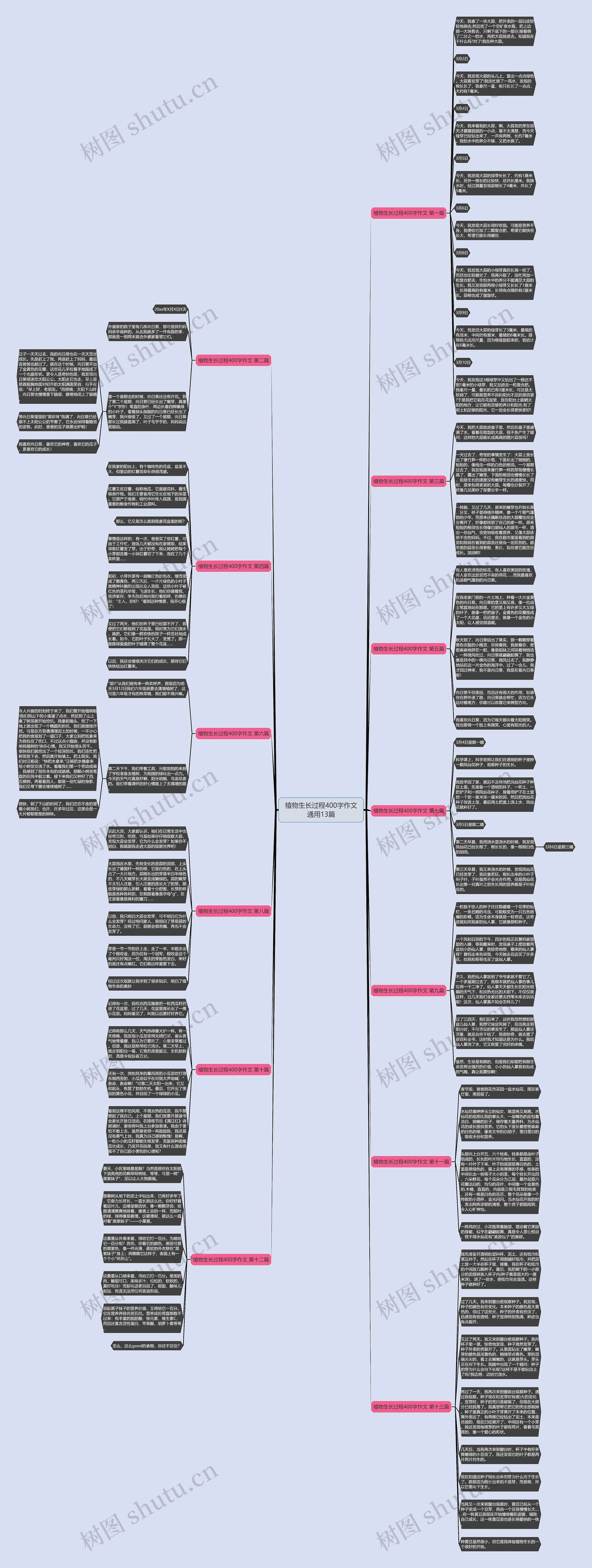 植物生长过程400字作文通用13篇思维导图