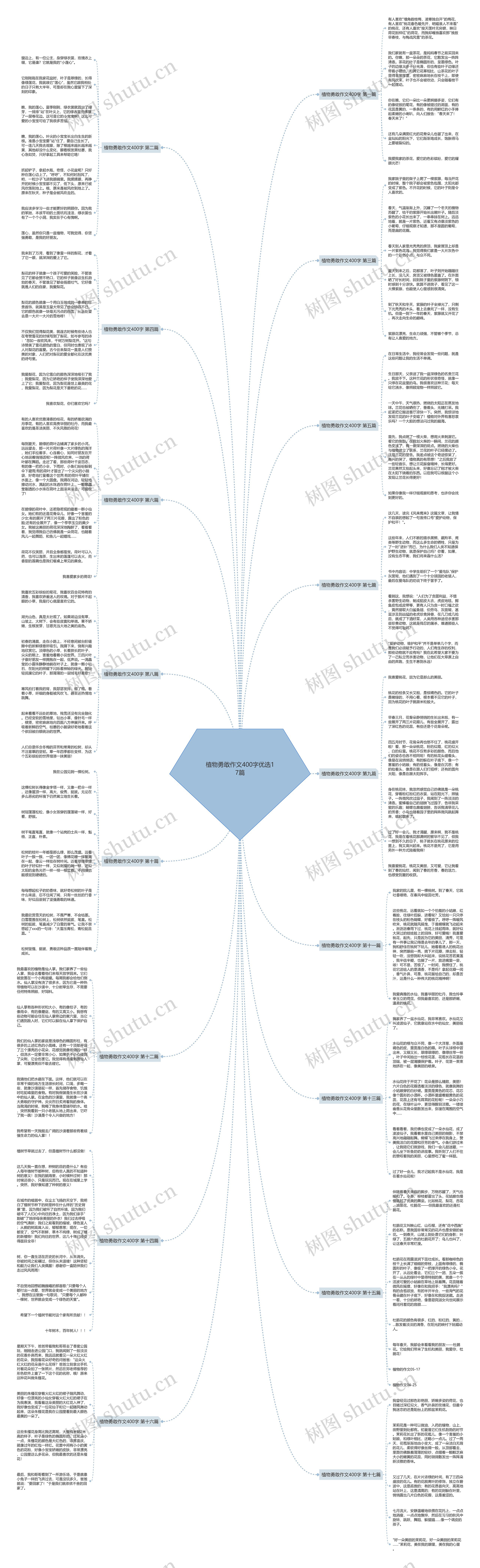 植物勇敢作文400字优选17篇思维导图