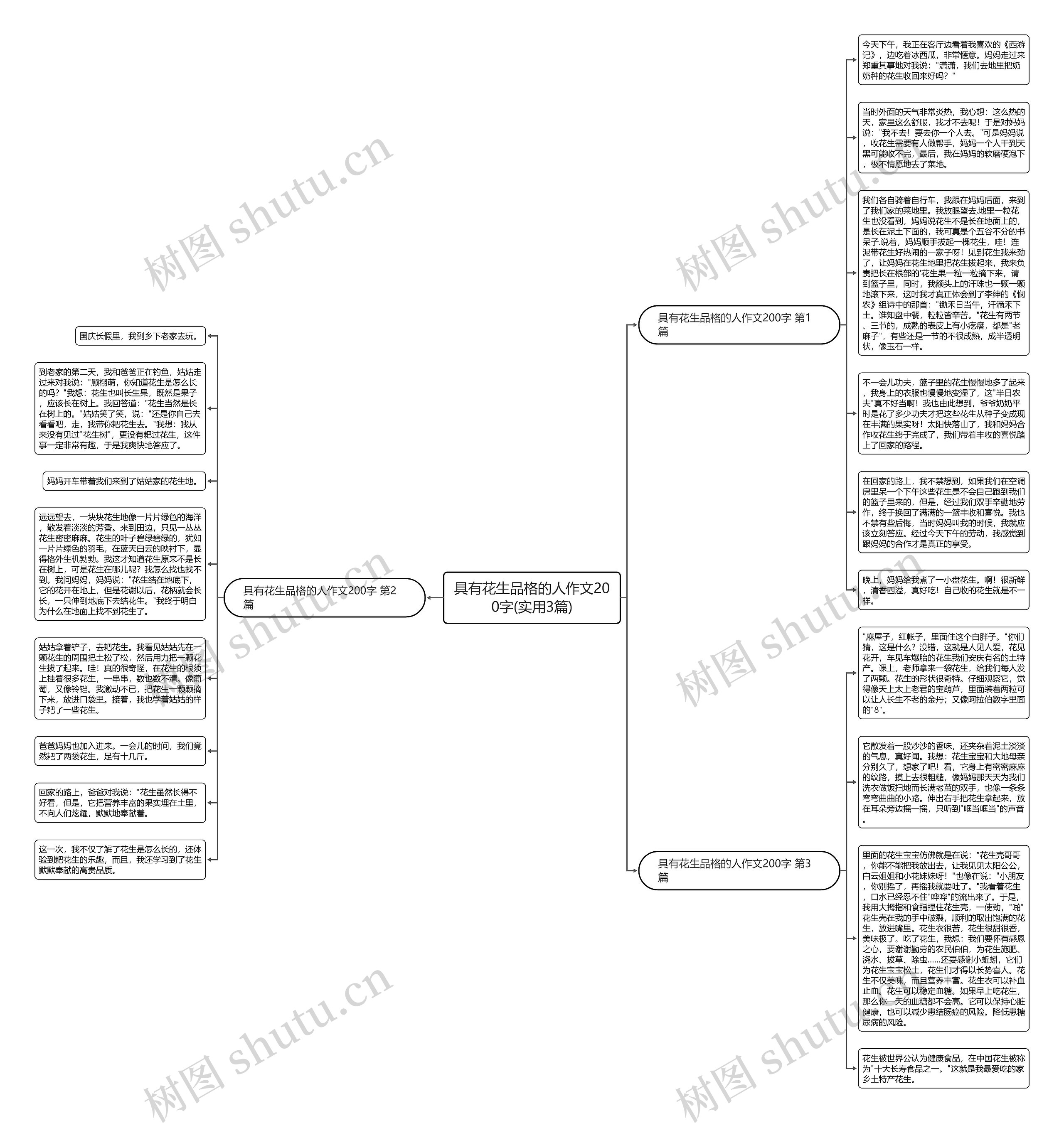 具有花生品格的人作文200字(实用3篇)思维导图