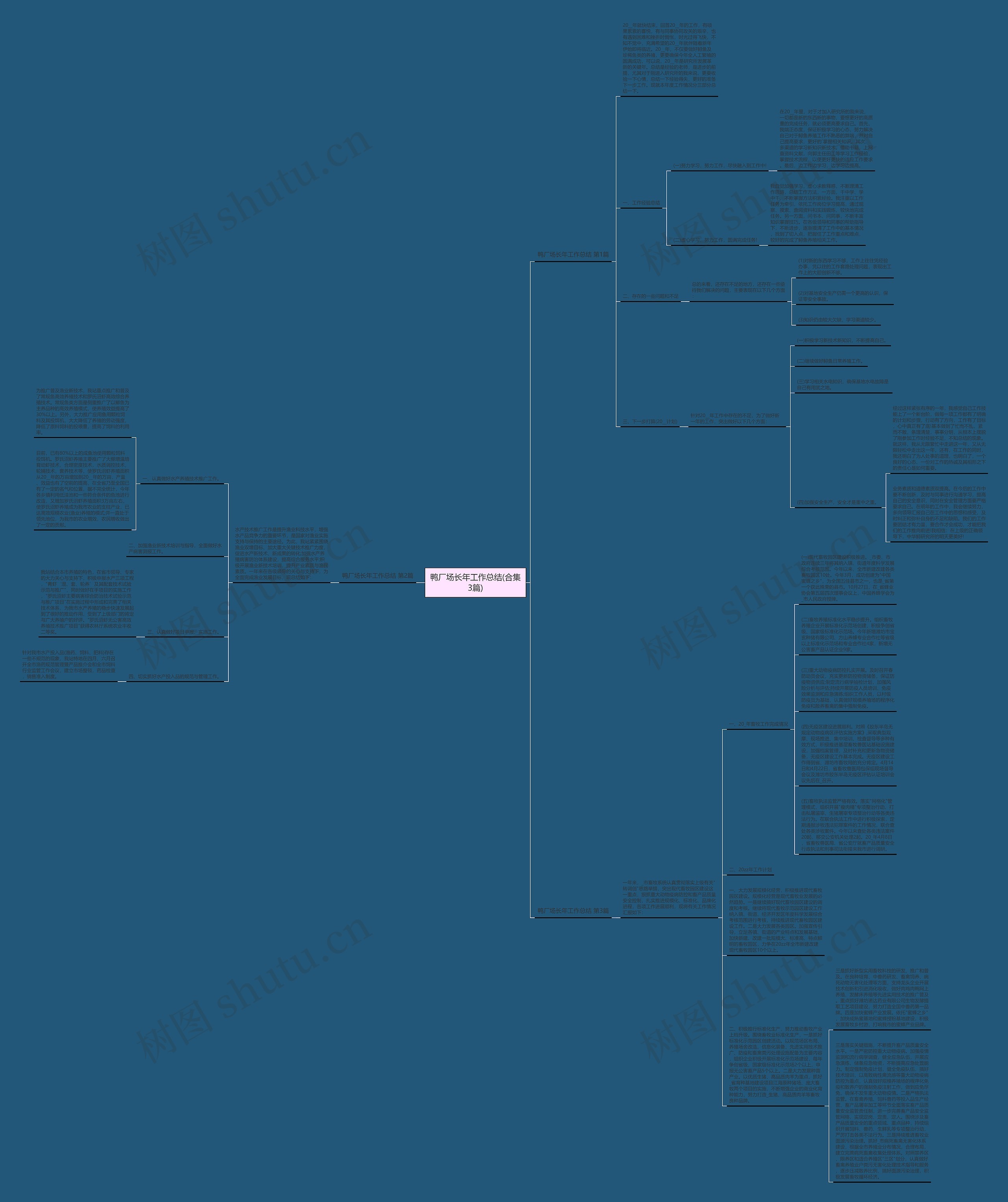 鸭厂场长年工作总结(合集3篇)思维导图