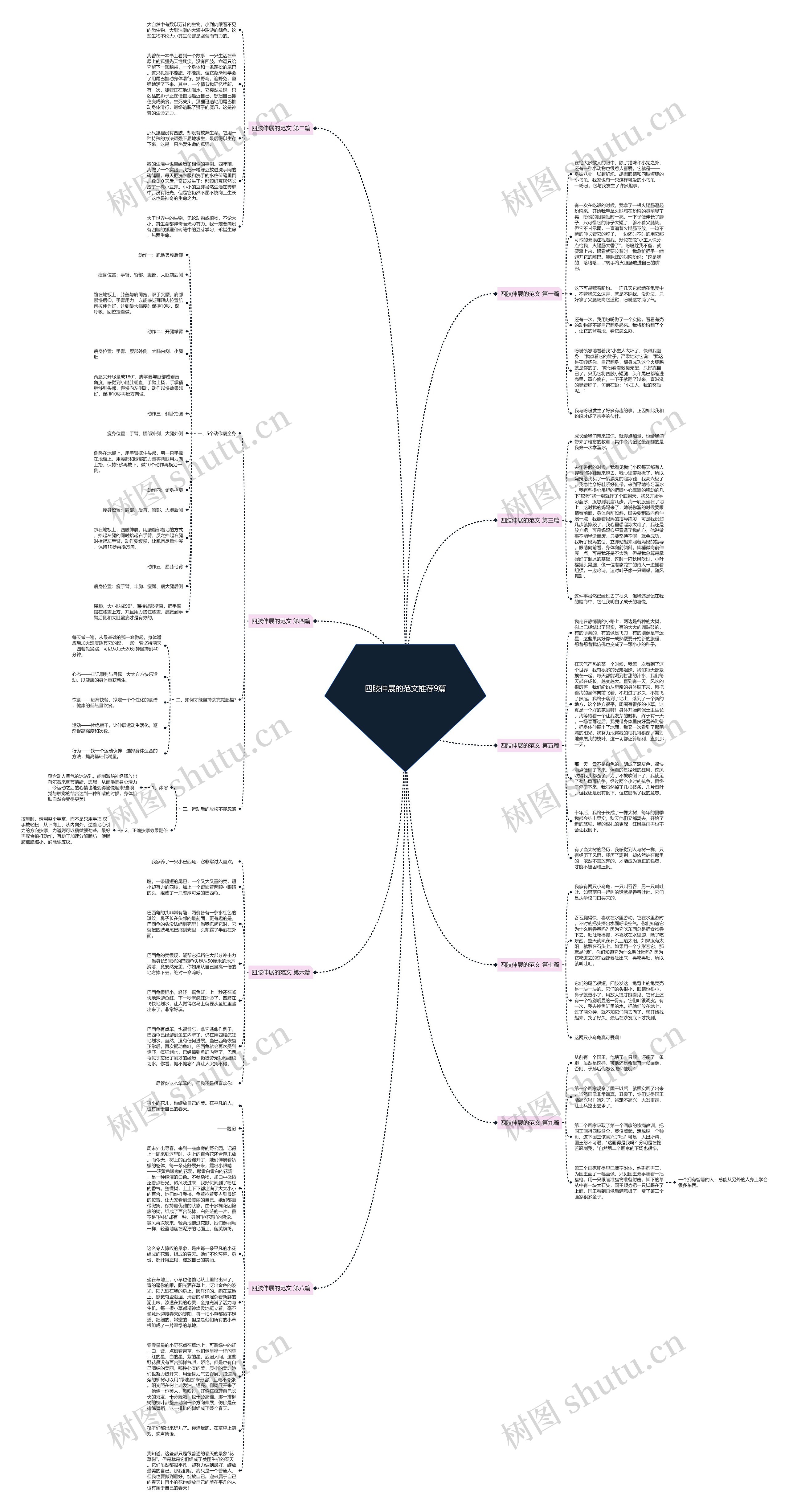 四肢伸展的范文推荐9篇思维导图