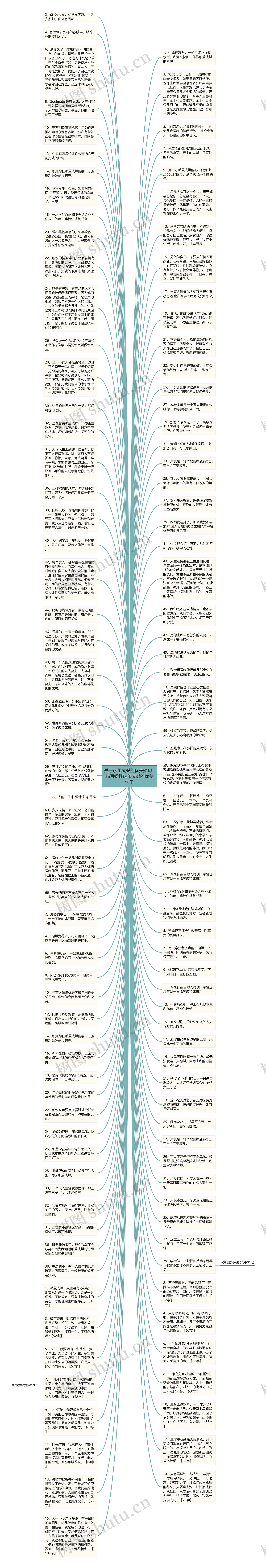 关于破茧成蝶的优美短句  描写蝴蝶破茧成蝶的优美句子思维导图