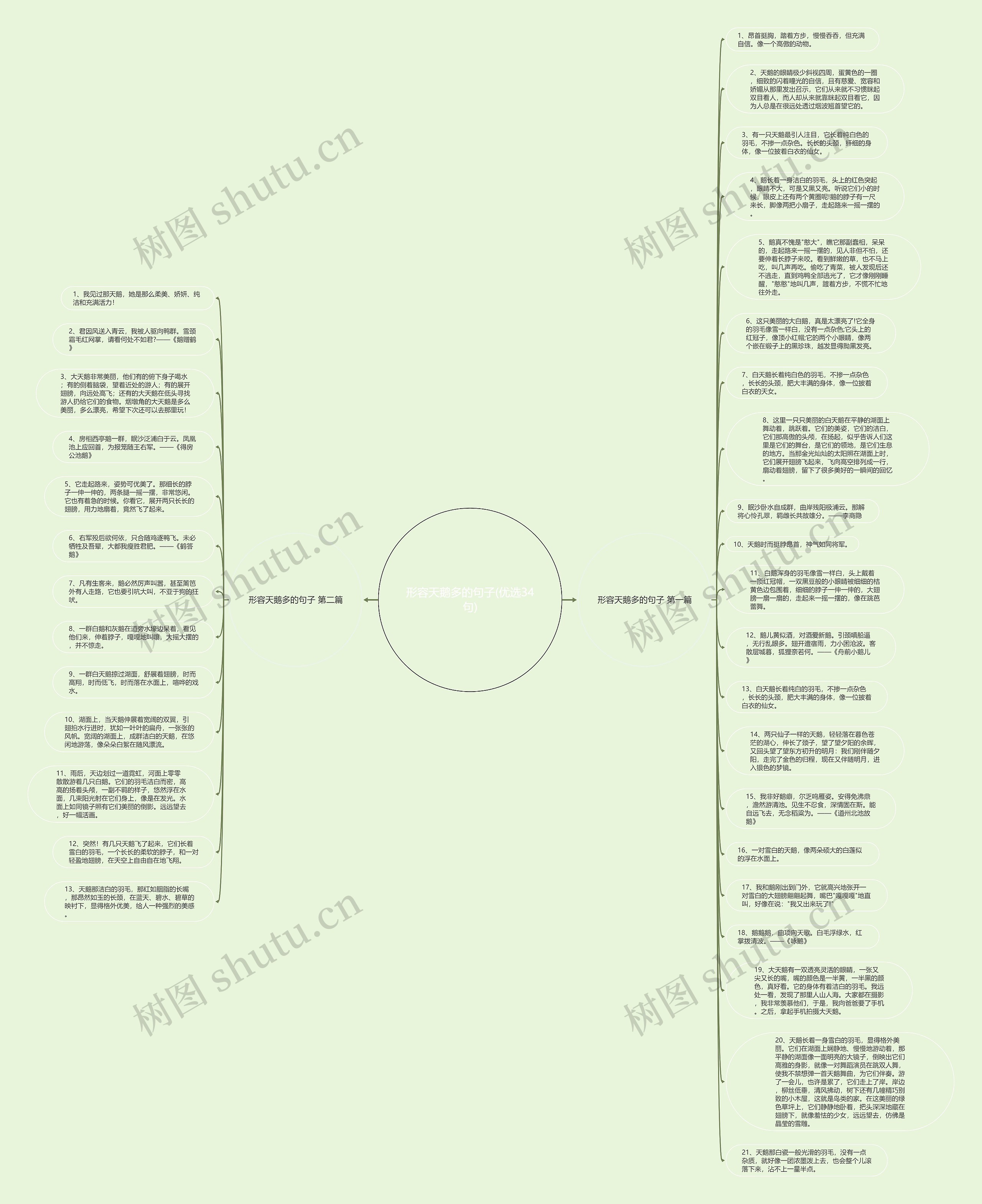 形容天鹅多的句子(优选34句)思维导图