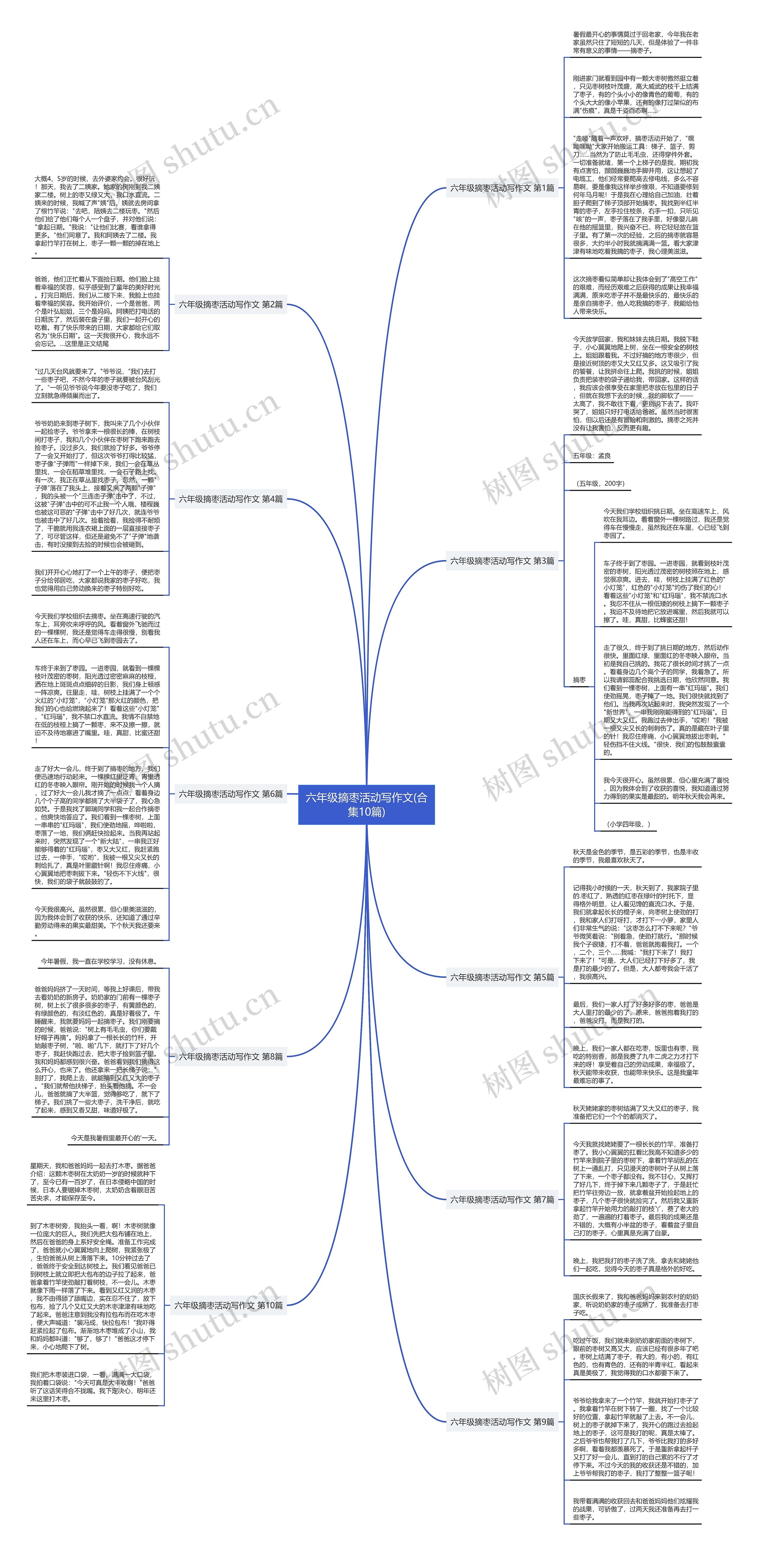 六年级摘枣活动写作文(合集10篇)思维导图