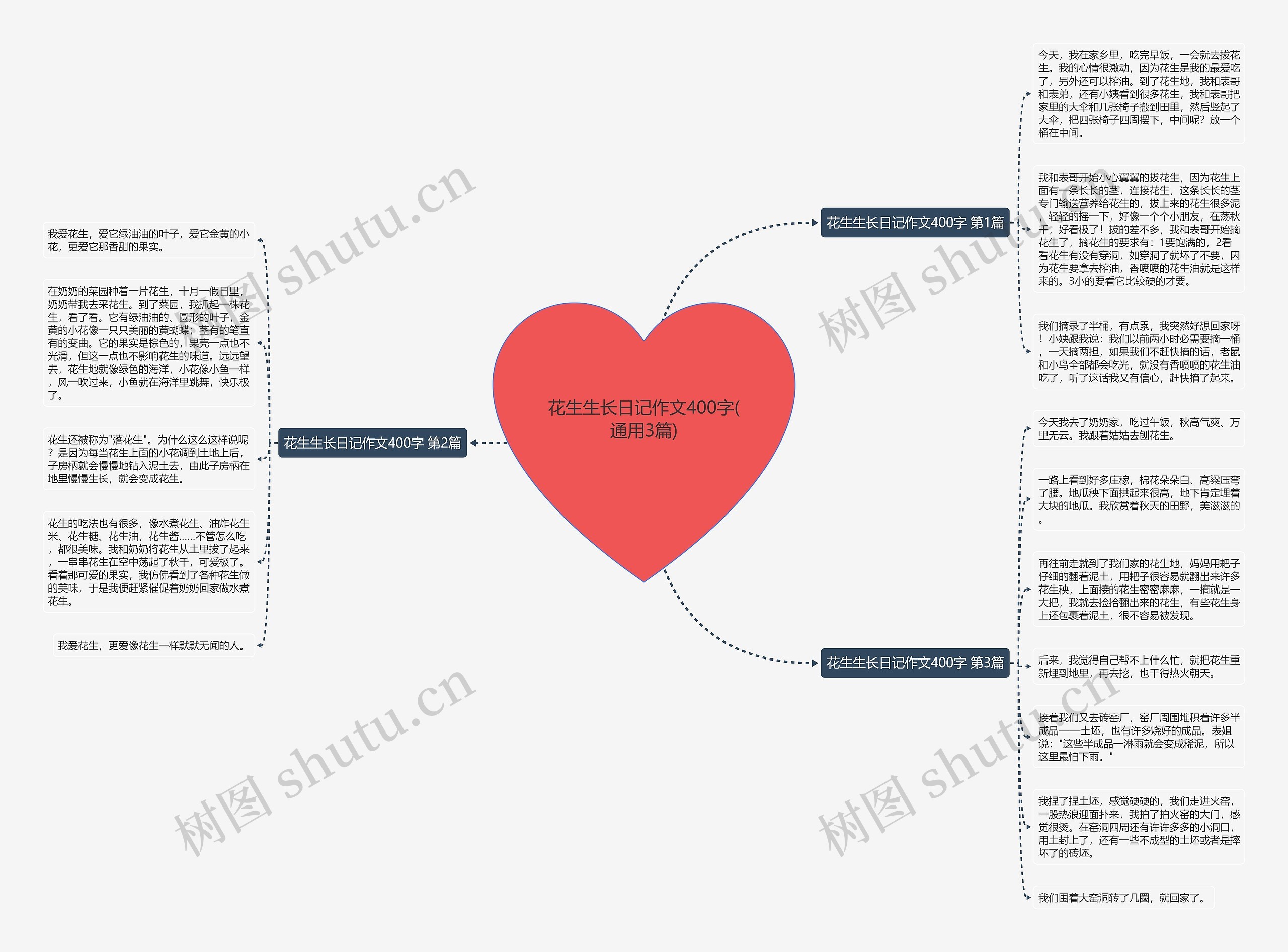 花生生长日记作文400字(通用3篇)思维导图