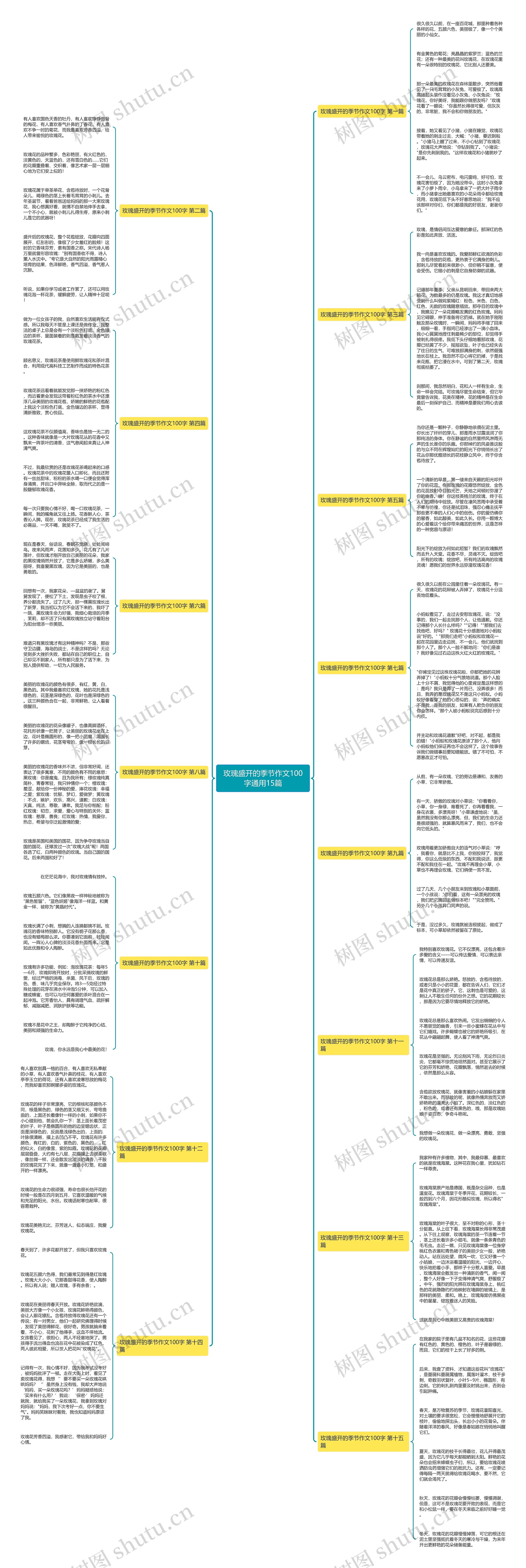 玫瑰盛开的季节作文100字通用15篇思维导图