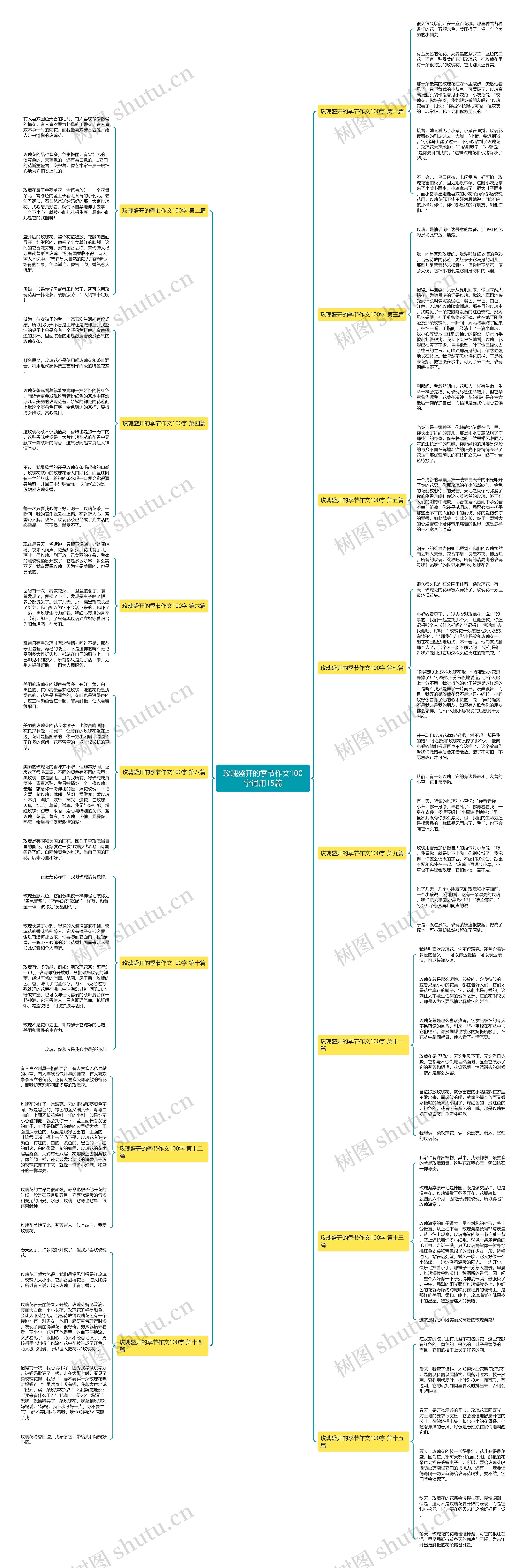 玫瑰盛开的季节作文100字通用15篇 玫瑰盛开的季节作文100字通用15篇