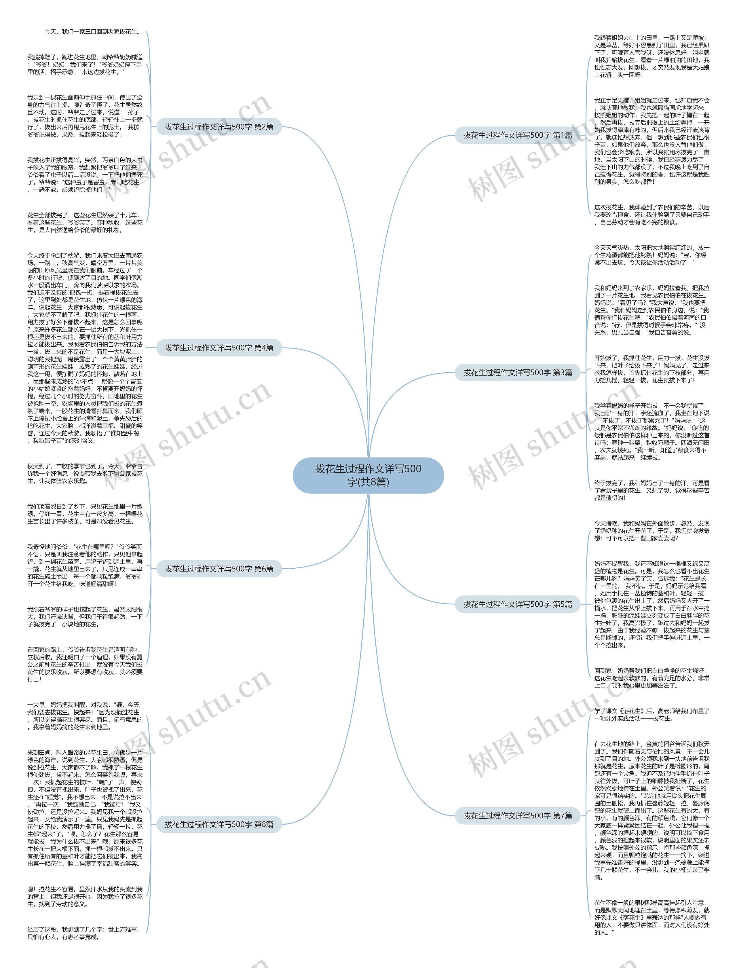 拔花生过程作文详写500字(共8篇)思维导图