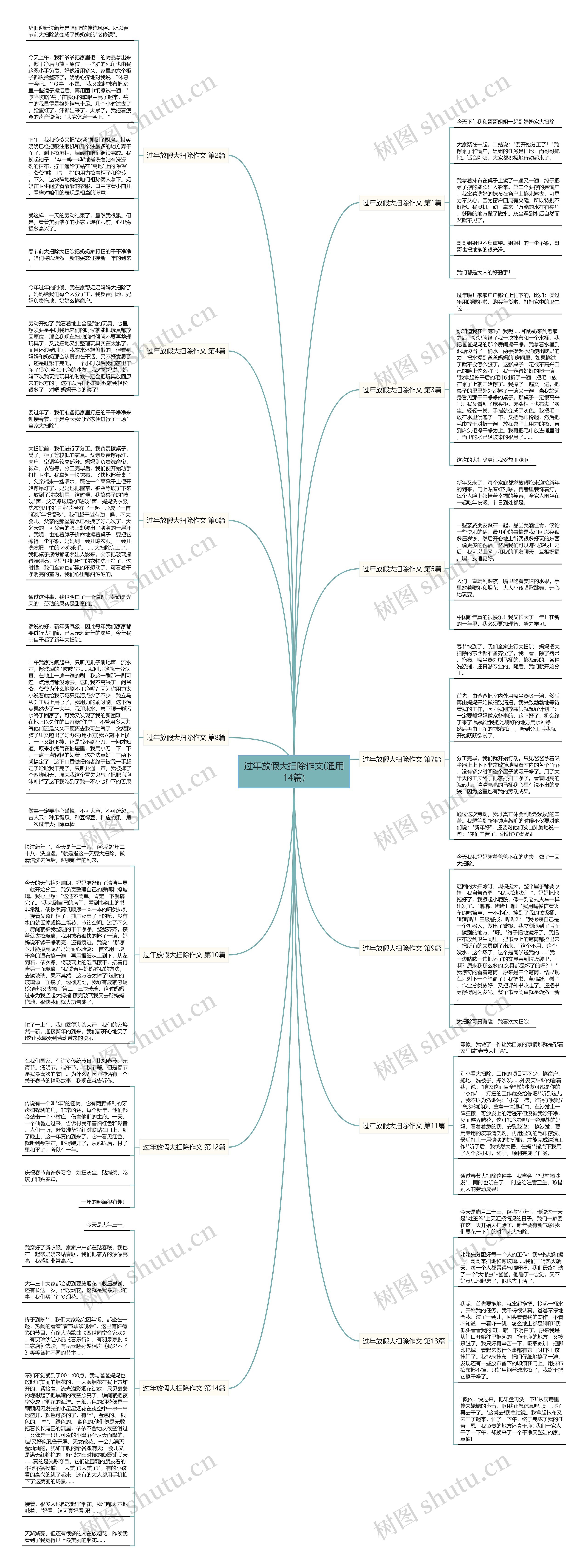 过年放假大扫除作文(通用14篇)思维导图
