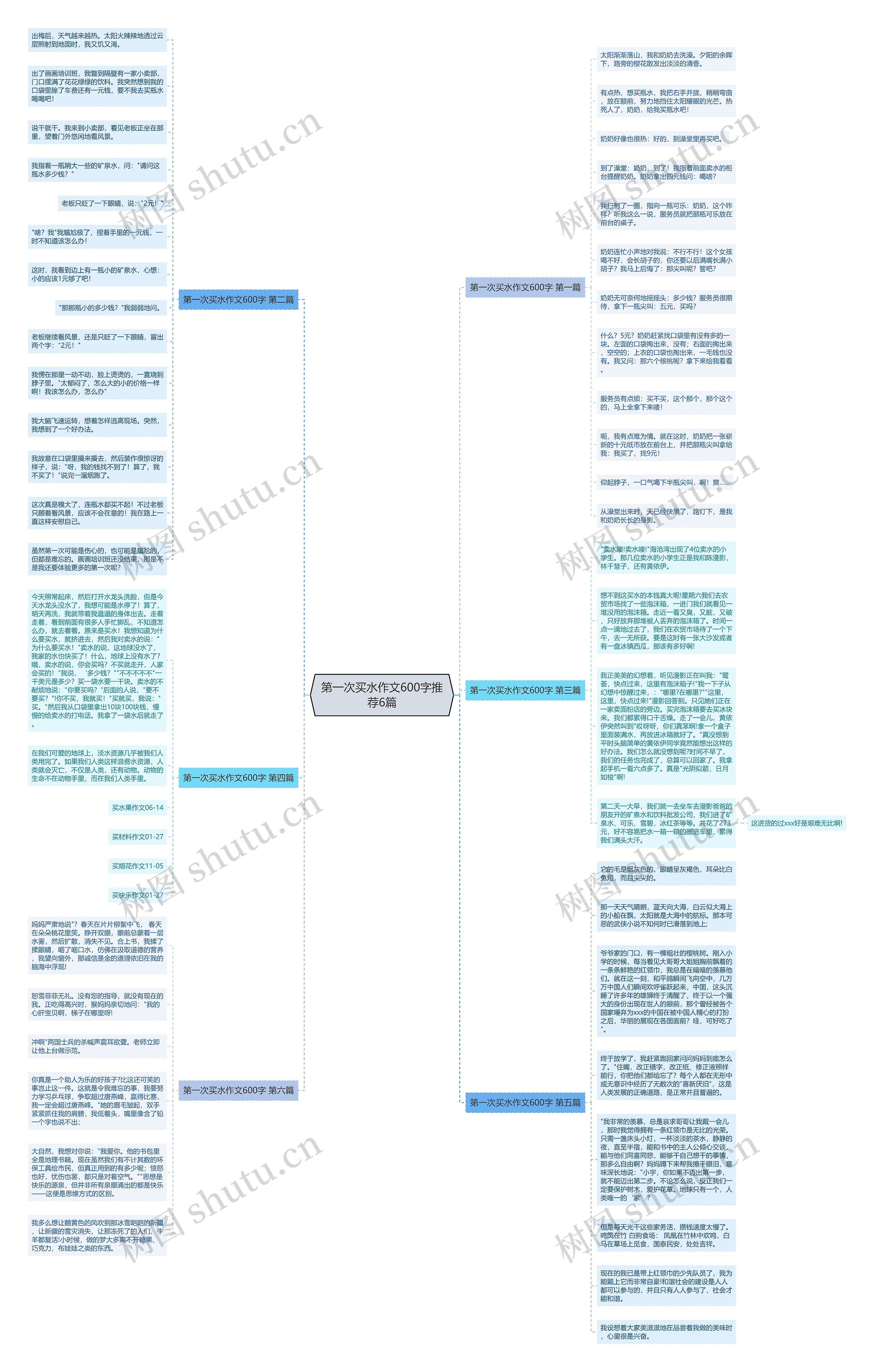 第一次买水作文600字推荐6篇思维导图