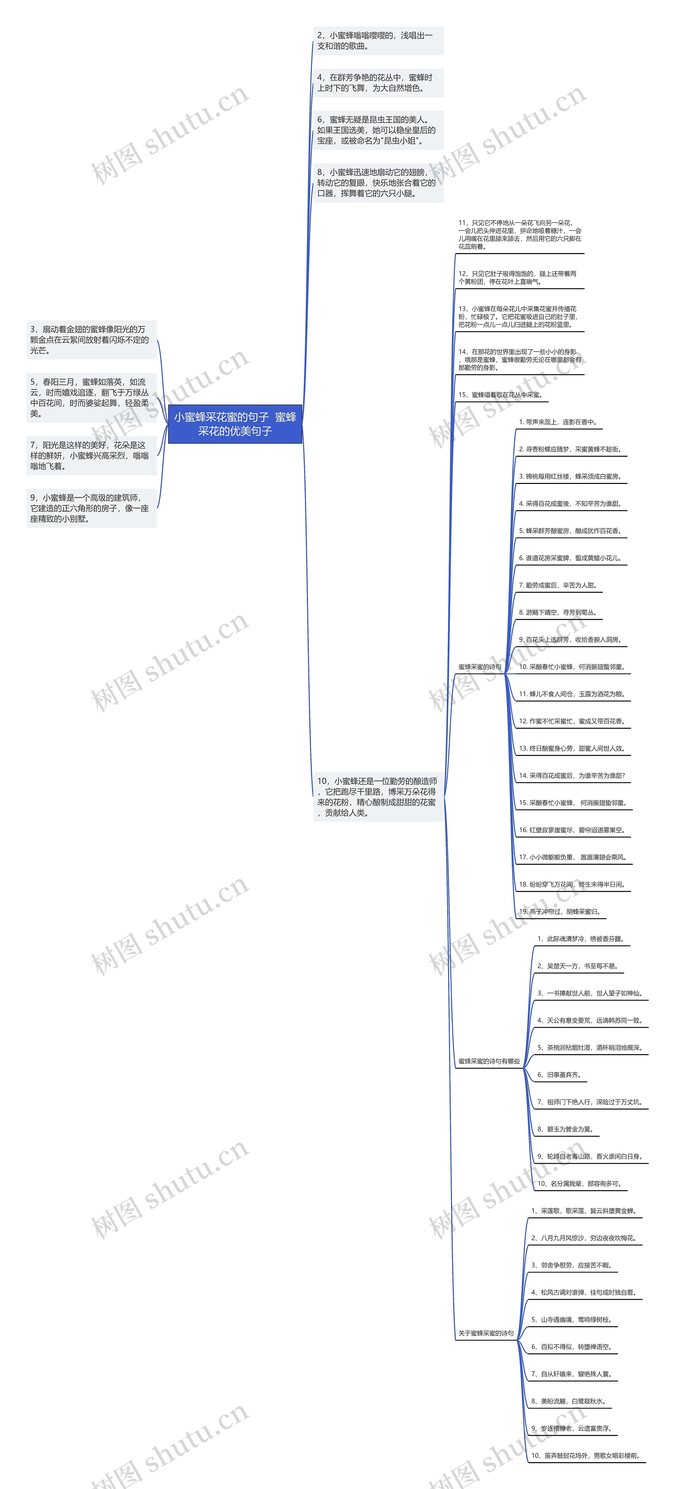 小蜜蜂采花蜜的句子  蜜蜂采花的优美句子思维导图
