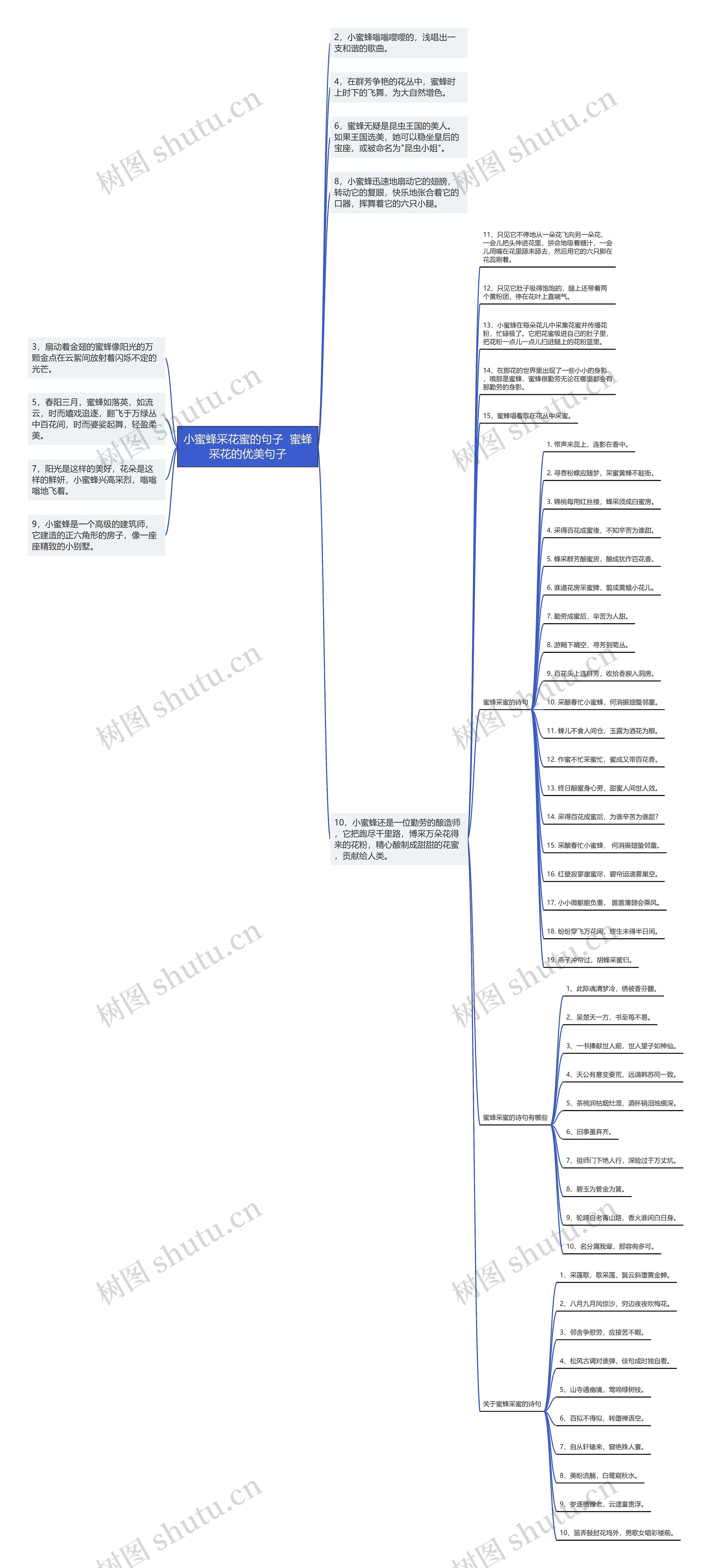 小蜜蜂采花蜜的句子  蜜蜂采花的优美句子 小蜜蜂采花蜜的句子  蜜蜂采花的优美句子