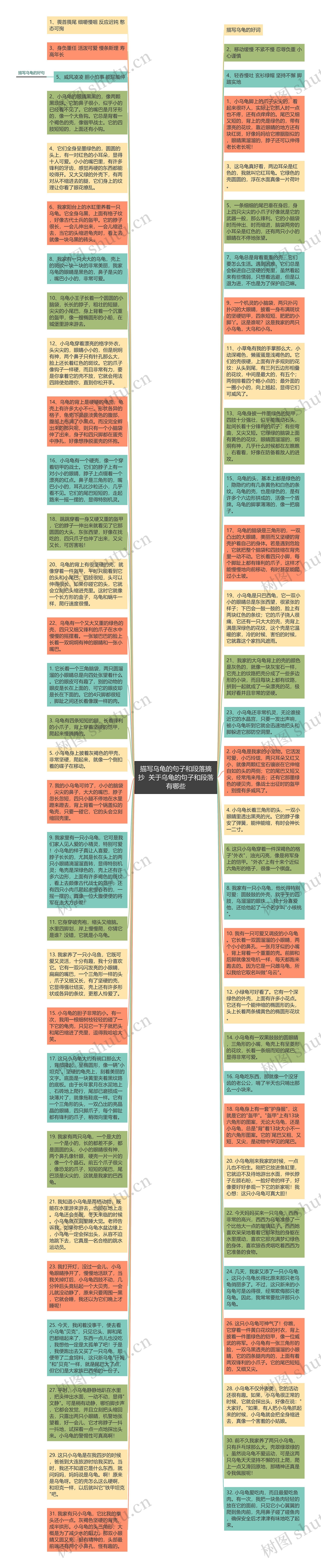 描写乌龟的句子和段落摘抄  关于乌龟的句子和段落有哪些思维导图