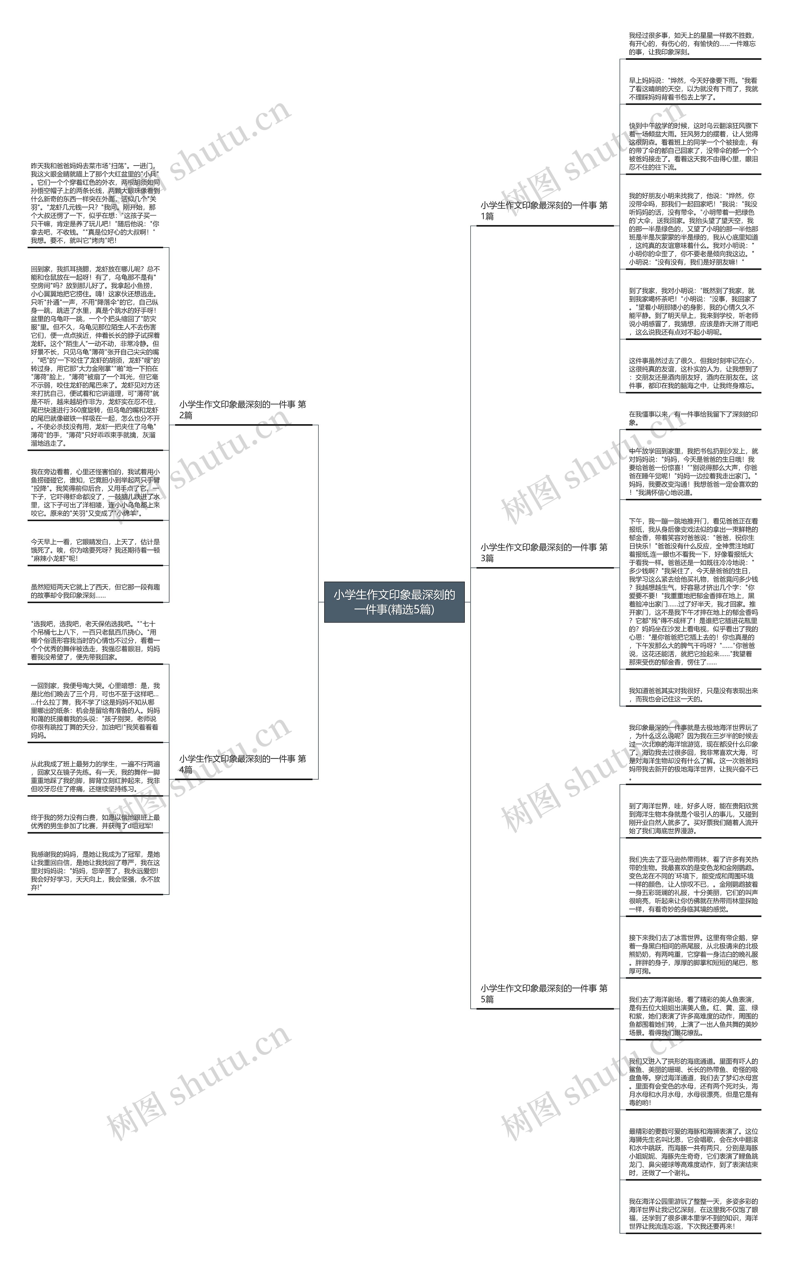 小学生作文印象最深刻的一件事(精选5篇)思维导图