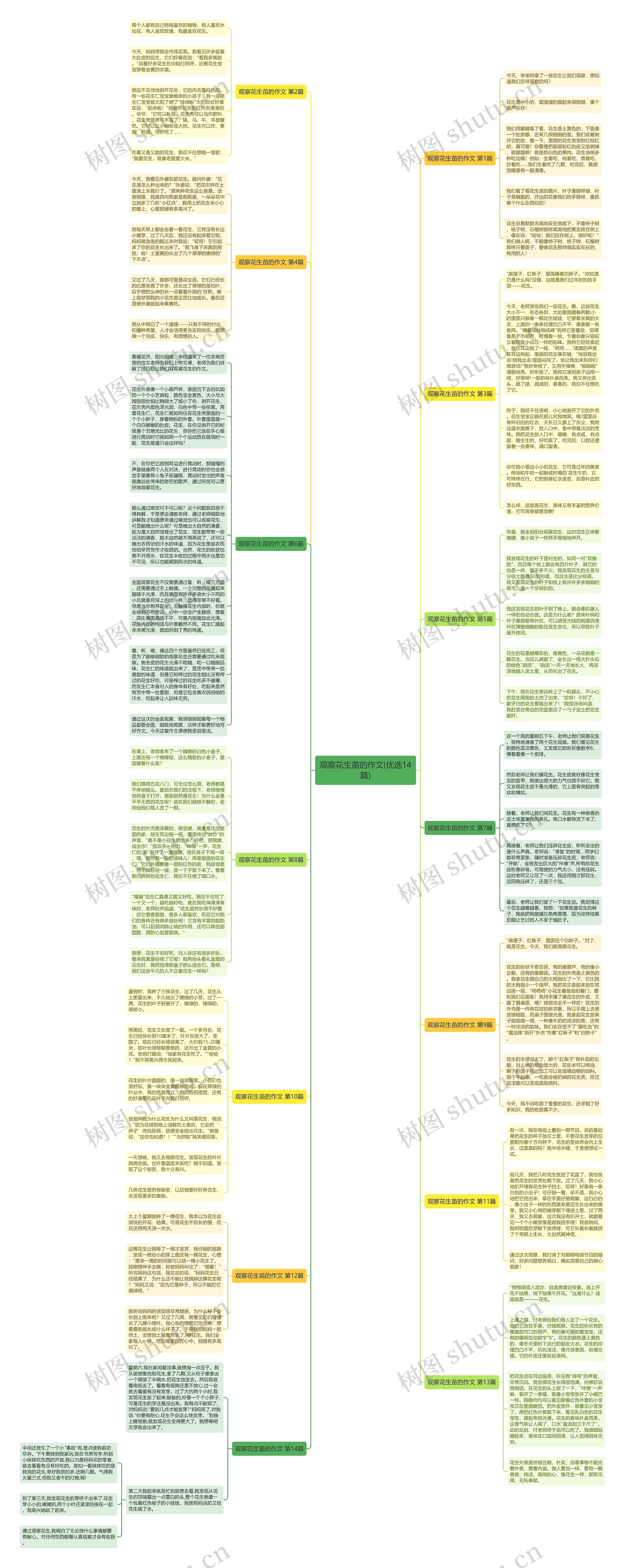 观察花生苗的作文(优选14篇)思维导图