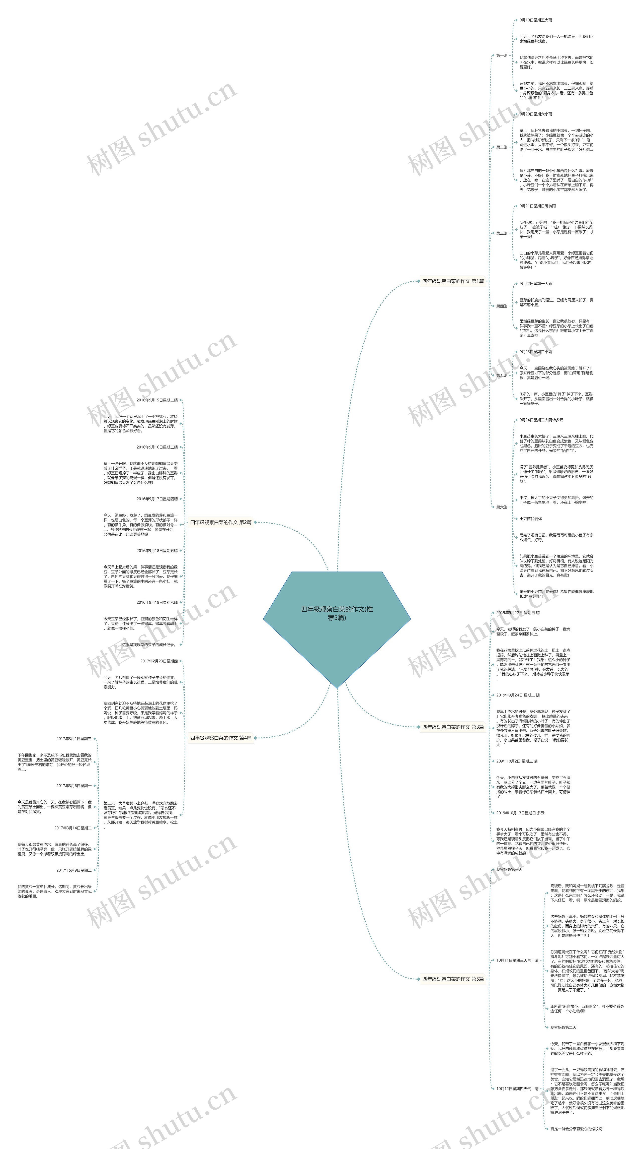四年级观察白菜的作文(推荐5篇) 四年级观察白菜的作文(推荐5篇)