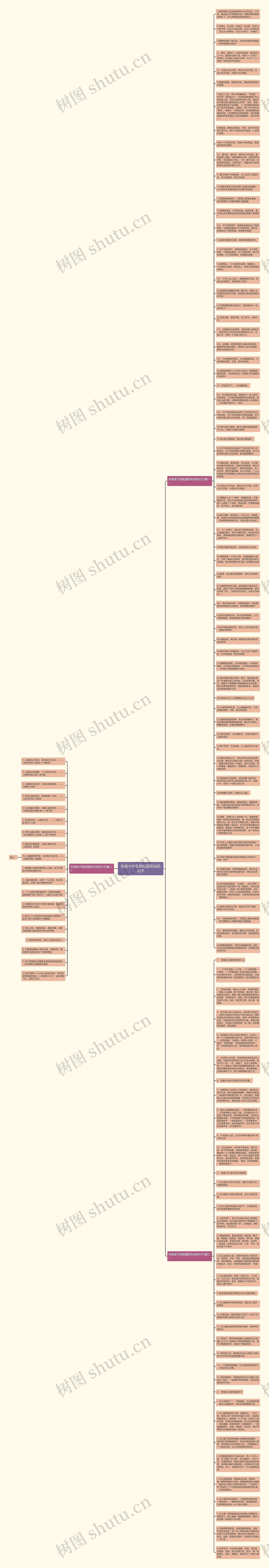 形容小学生是祖国花朵的句子思维导图