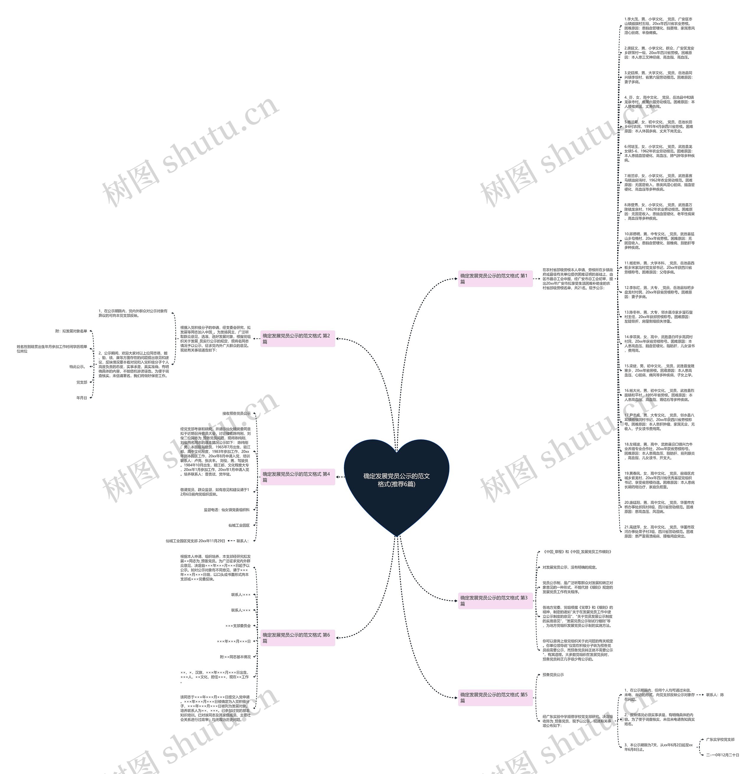 确定发展党员公示的范文格式(推荐6篇)思维导图