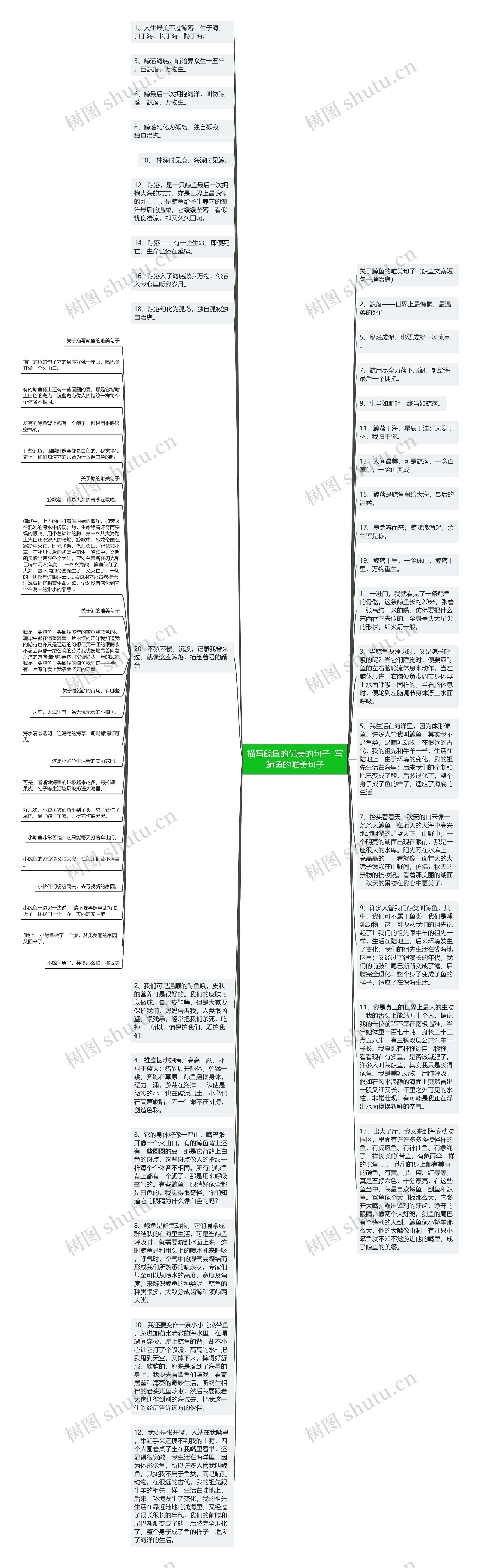 描写鲸鱼的优美的句子  写鲸鱼的唯美句子思维导图