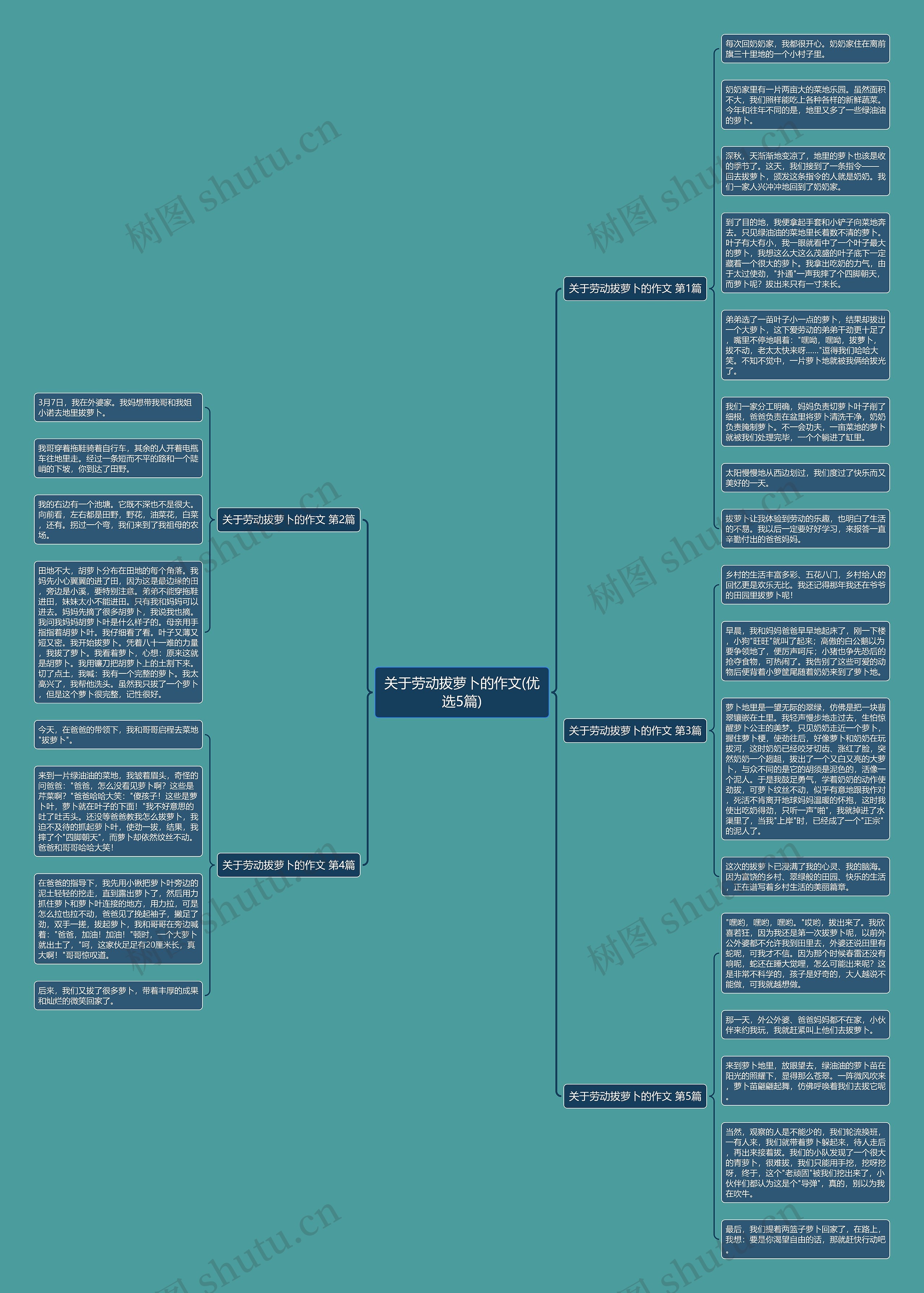 关于劳动拔萝卜的作文(优选5篇)思维导图
