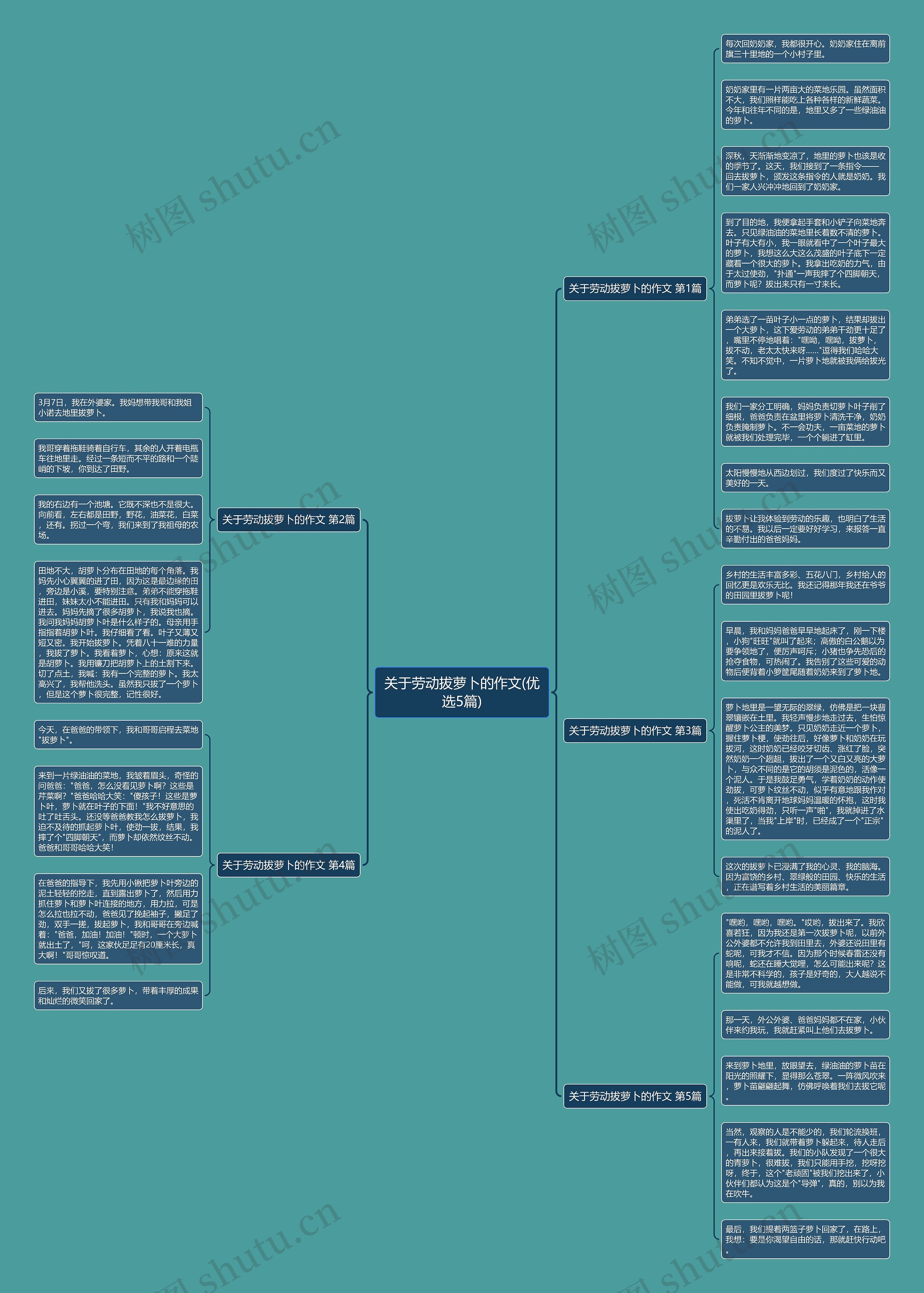 关于劳动拔萝卜的作文(优选5篇) 关于劳动拔萝卜的作文(优选5篇)