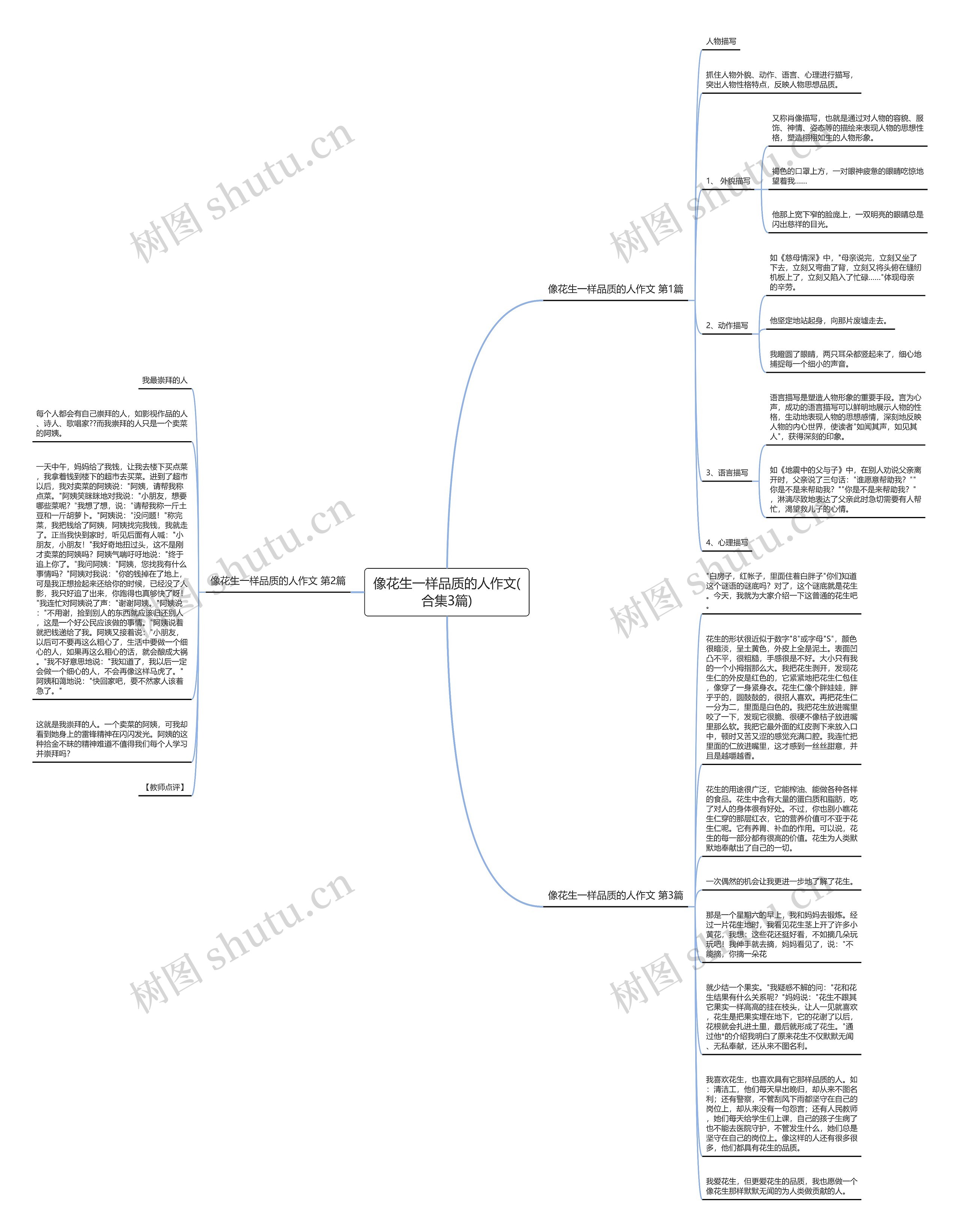 像花生一样品质的人作文(合集3篇)思维导图