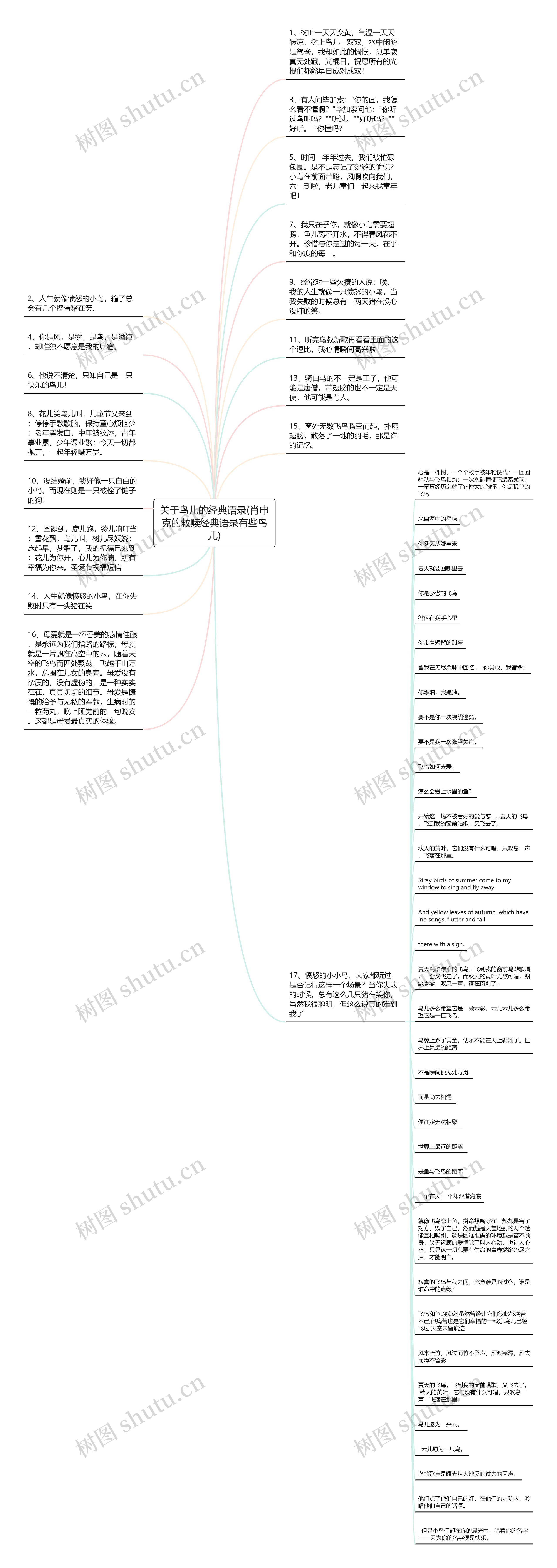 关于鸟儿的经典语录(肖申克的救赎经典语录有些鸟儿)思维导图