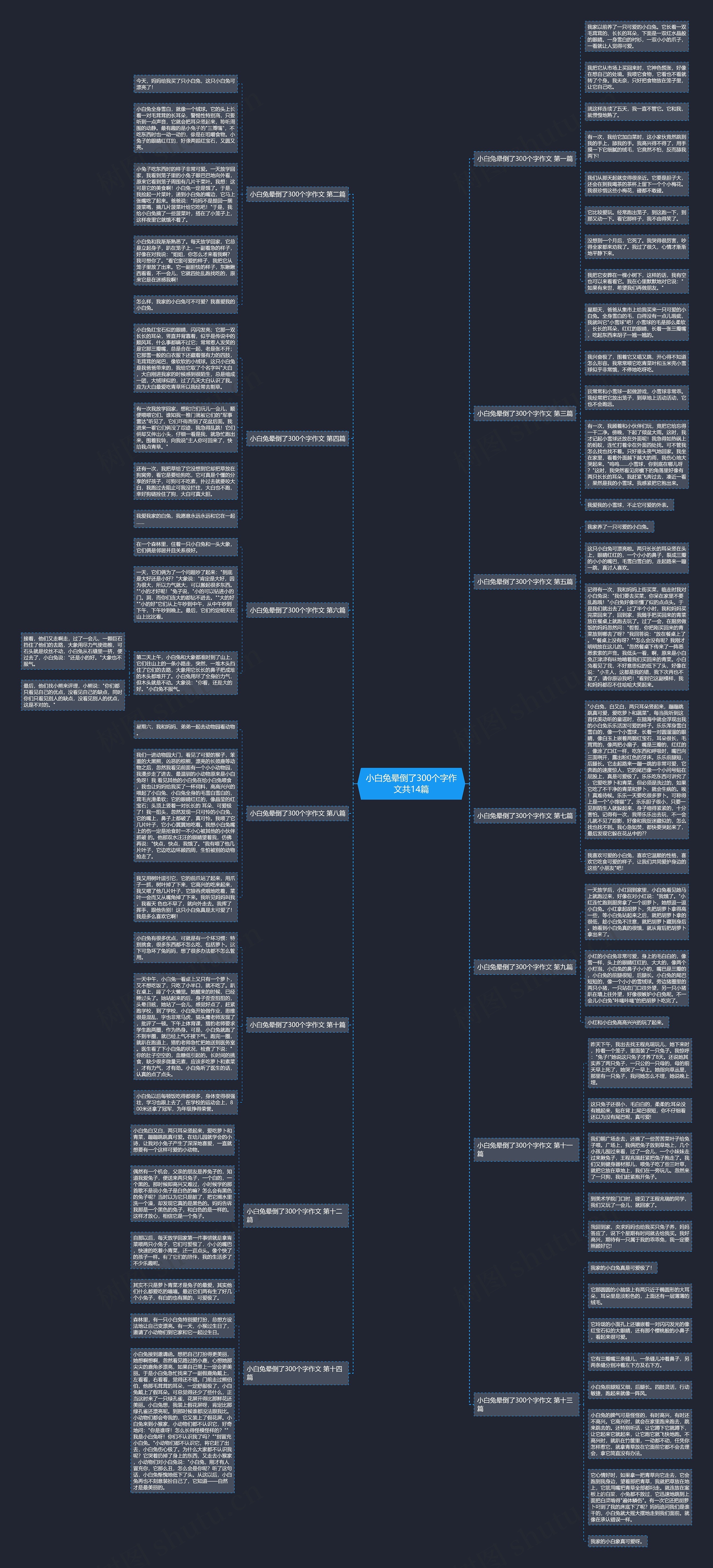 小白兔晕倒了300个字作文共14篇