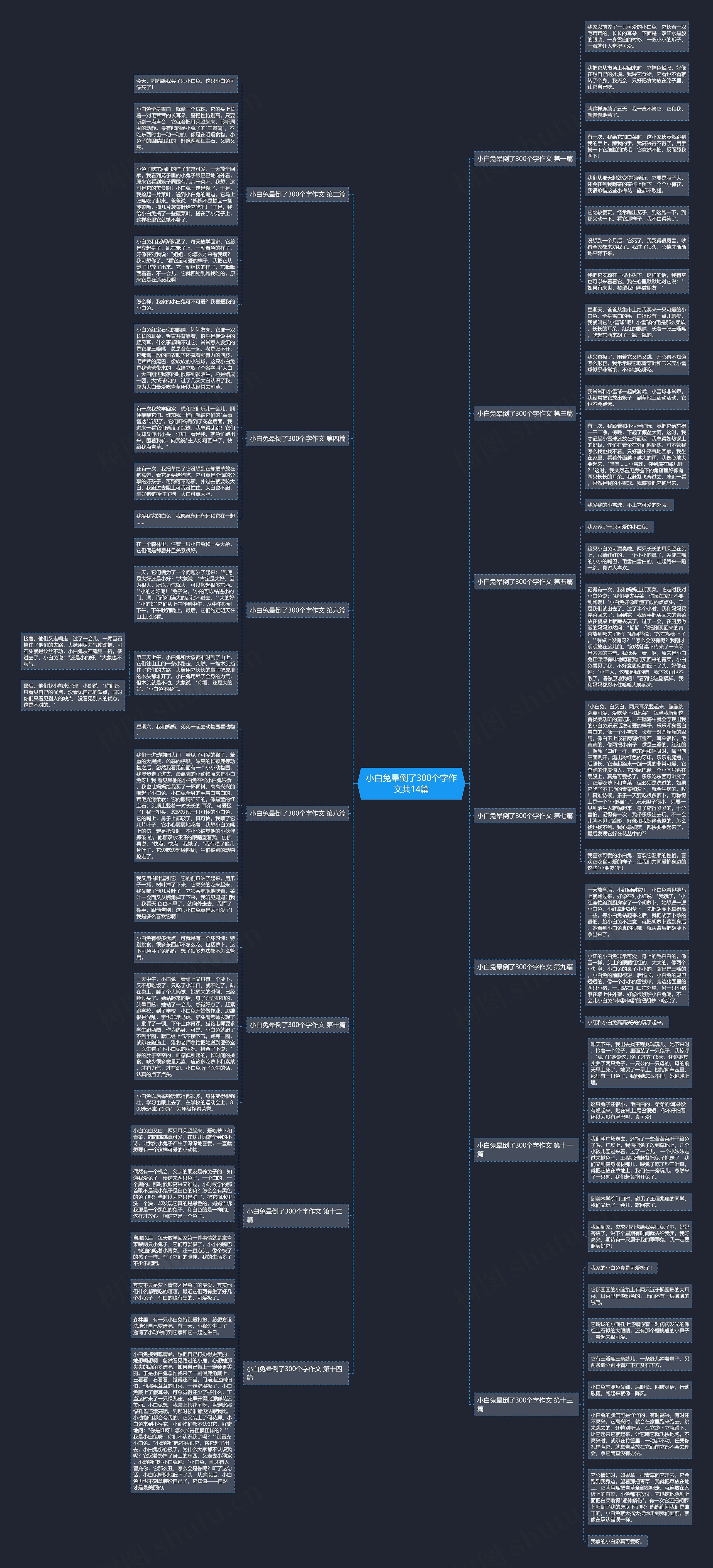 小白兔晕倒了300个字作文共14篇 小白兔晕倒了300个字作文共14篇