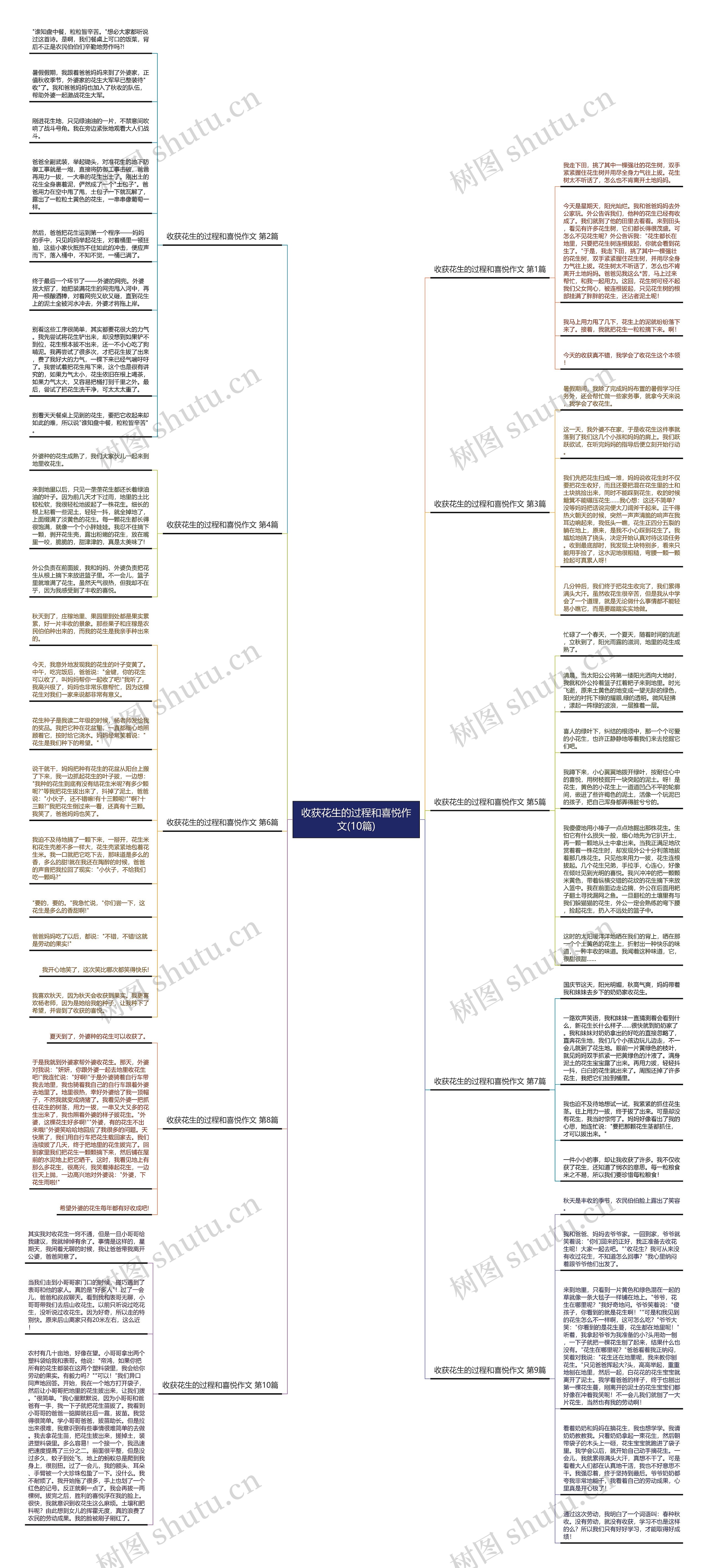 收获花生的过程和喜悦作文(10篇)思维导图