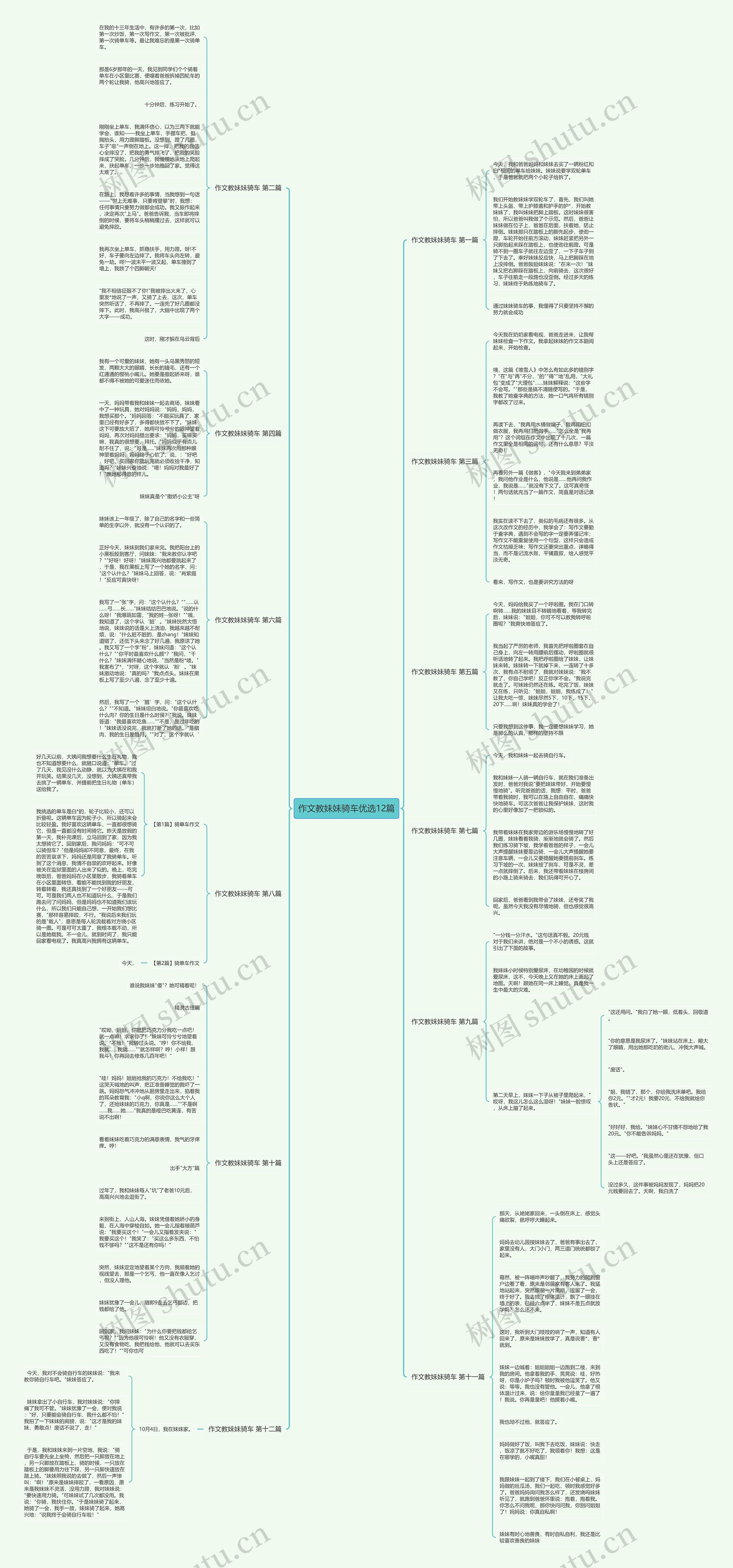 作文教妹妹骑车优选12篇思维导图