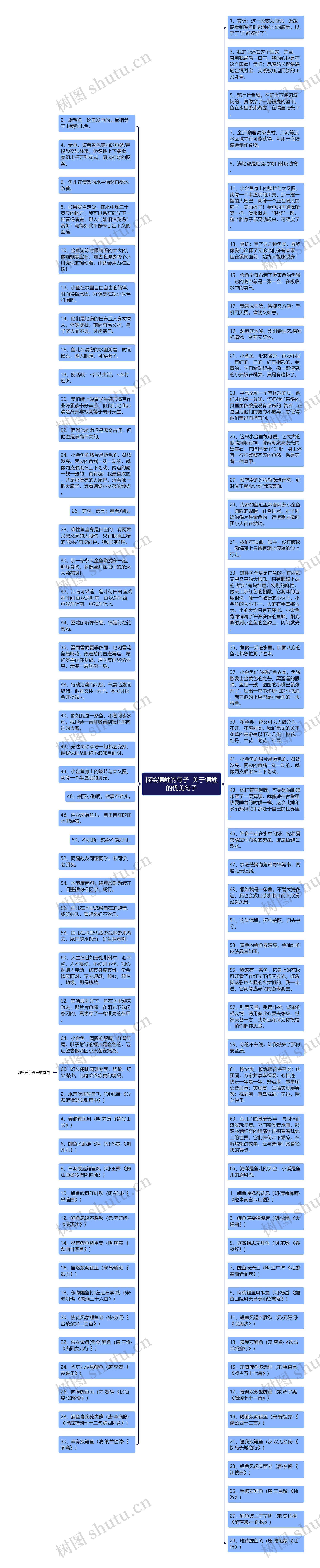 描绘锦鲤的句子  关于锦鲤的优美句子