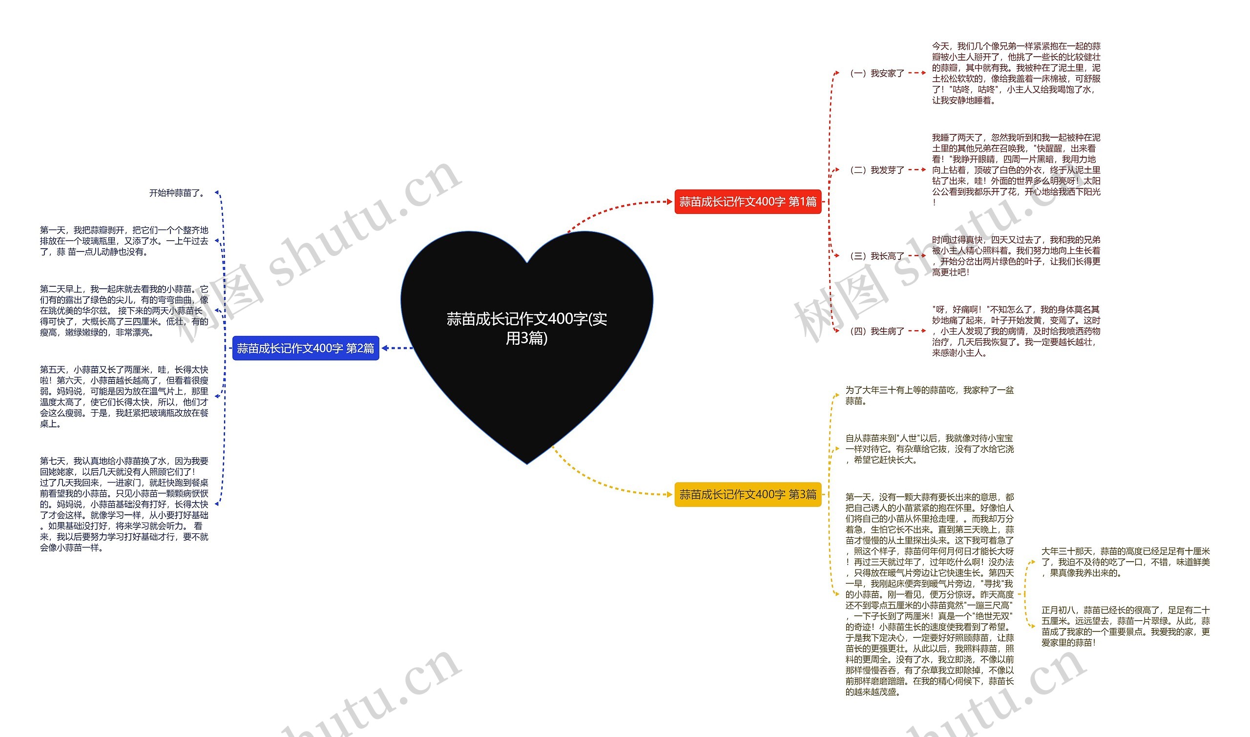 蒜苗成长记作文400字(实用3篇)思维导图