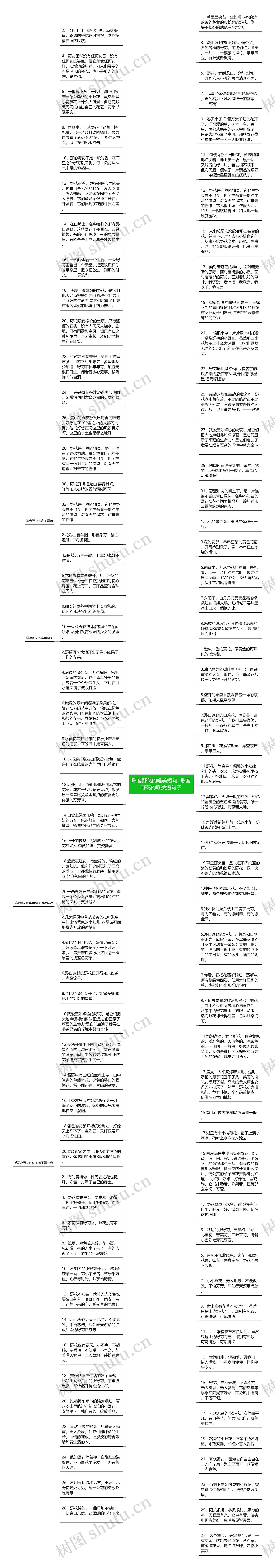 形容野花的唯美短句  形容野花的唯美短句子思维导图