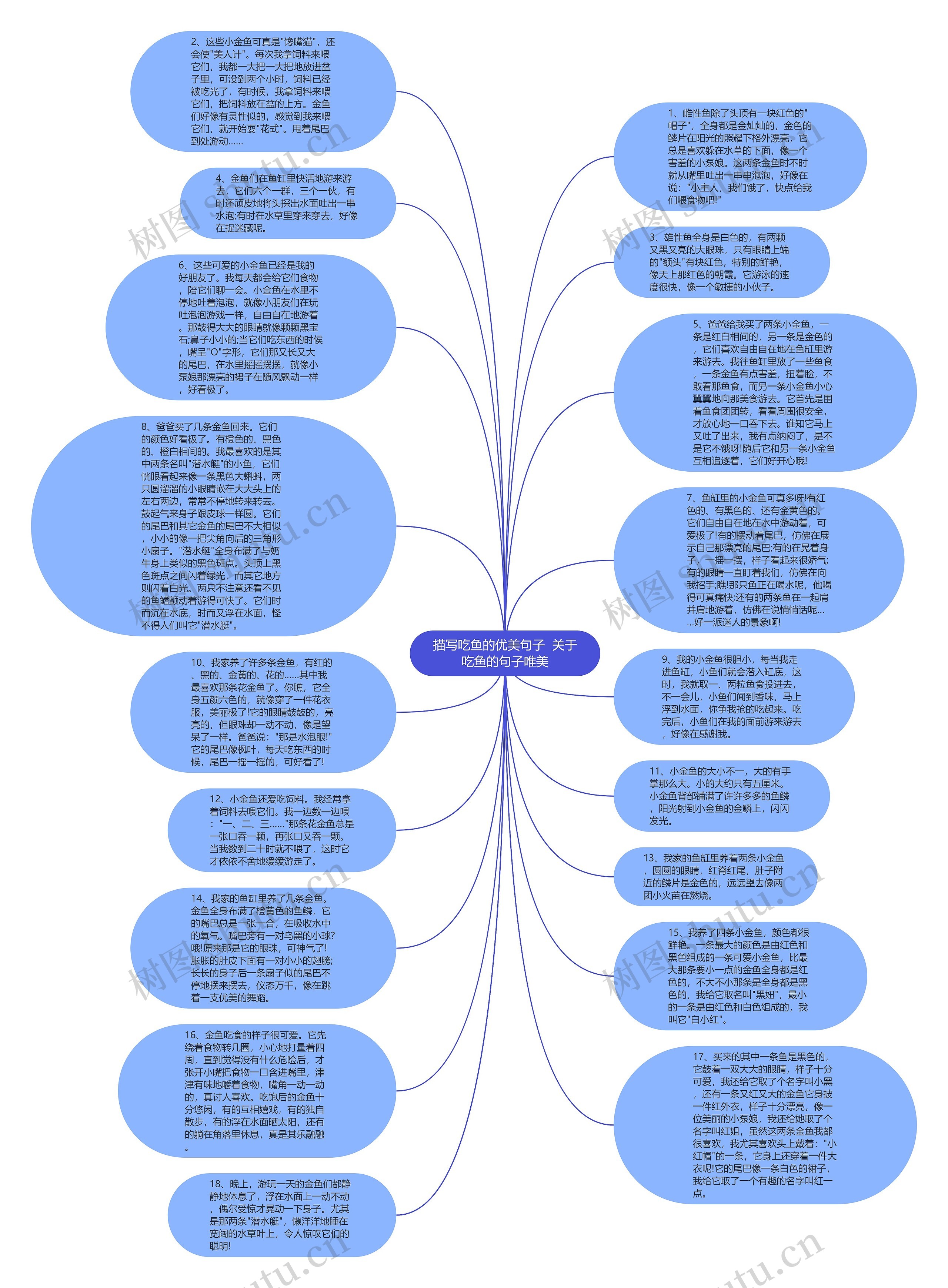 描写吃鱼的优美句子  关于吃鱼的句子唯美思维导图
