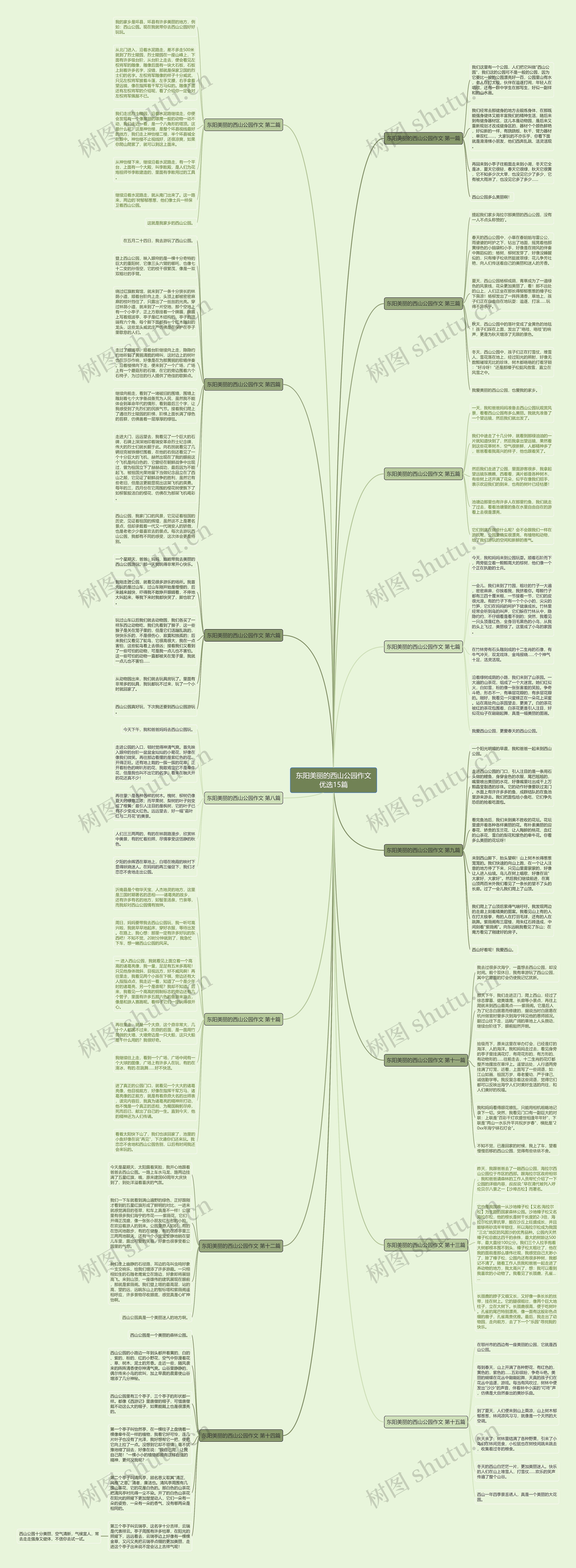 东阳美丽的西山公园作文优选15篇