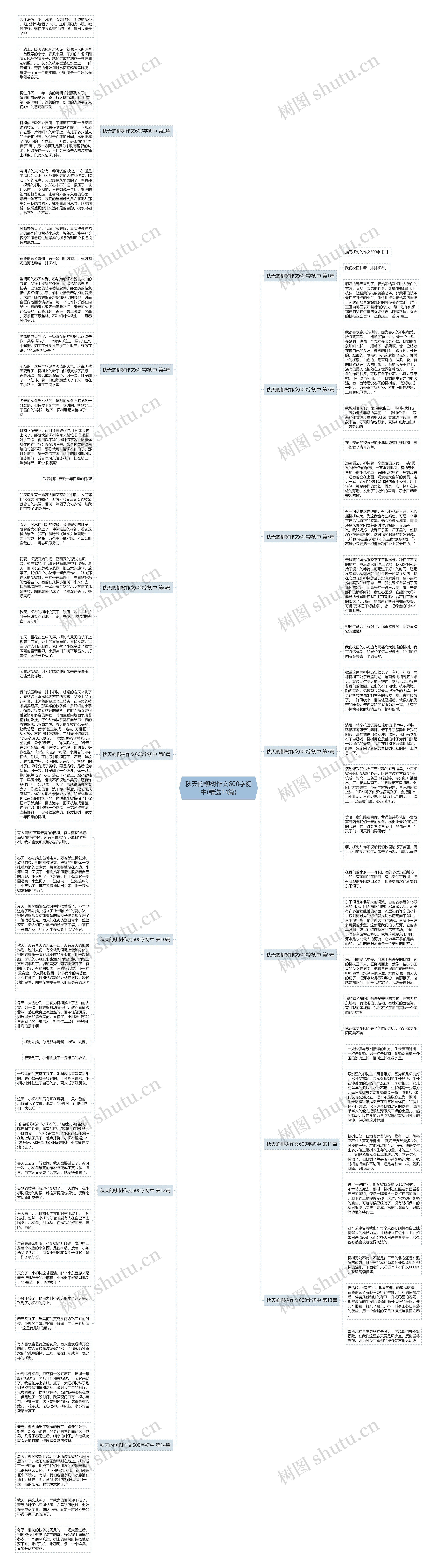 秋天的柳树作文600字初中(精选14篇)思维导图