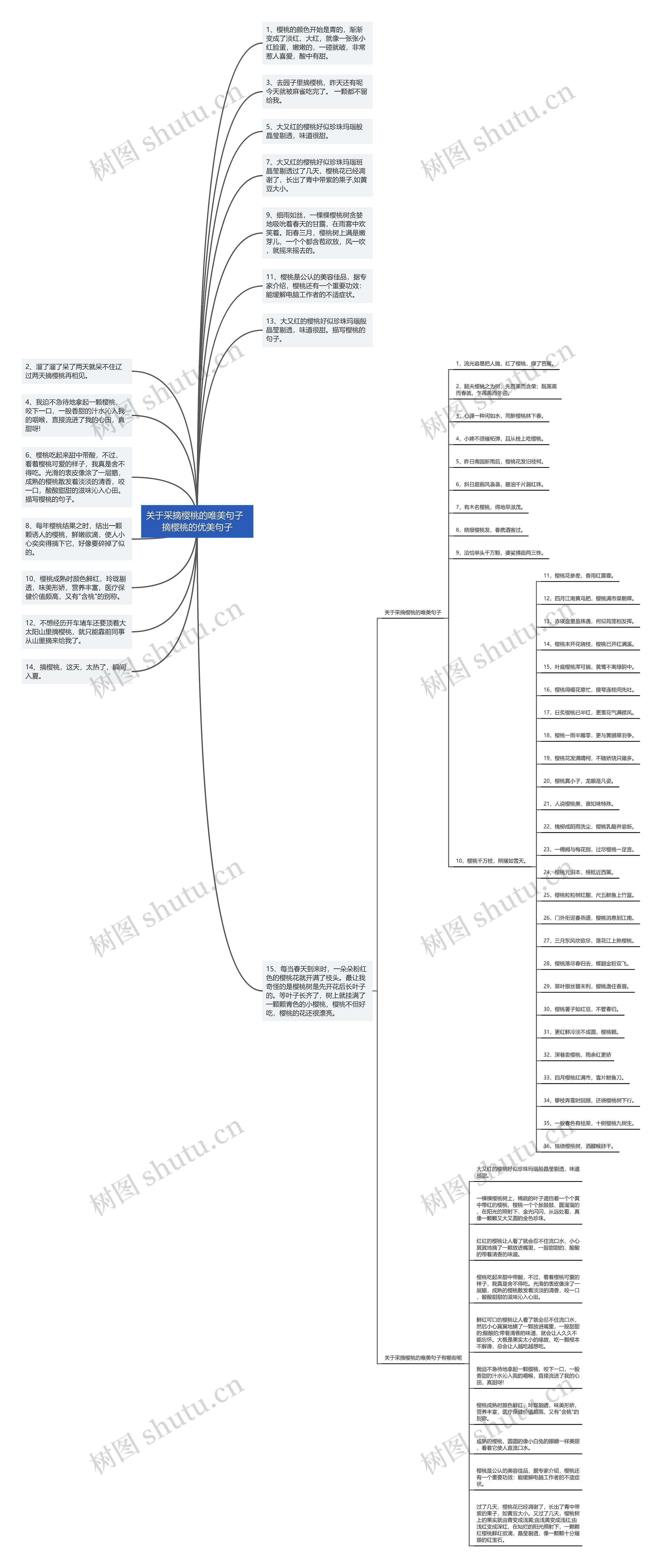 关于采摘樱桃的唯美句子  摘樱桃的优美句子思维导图