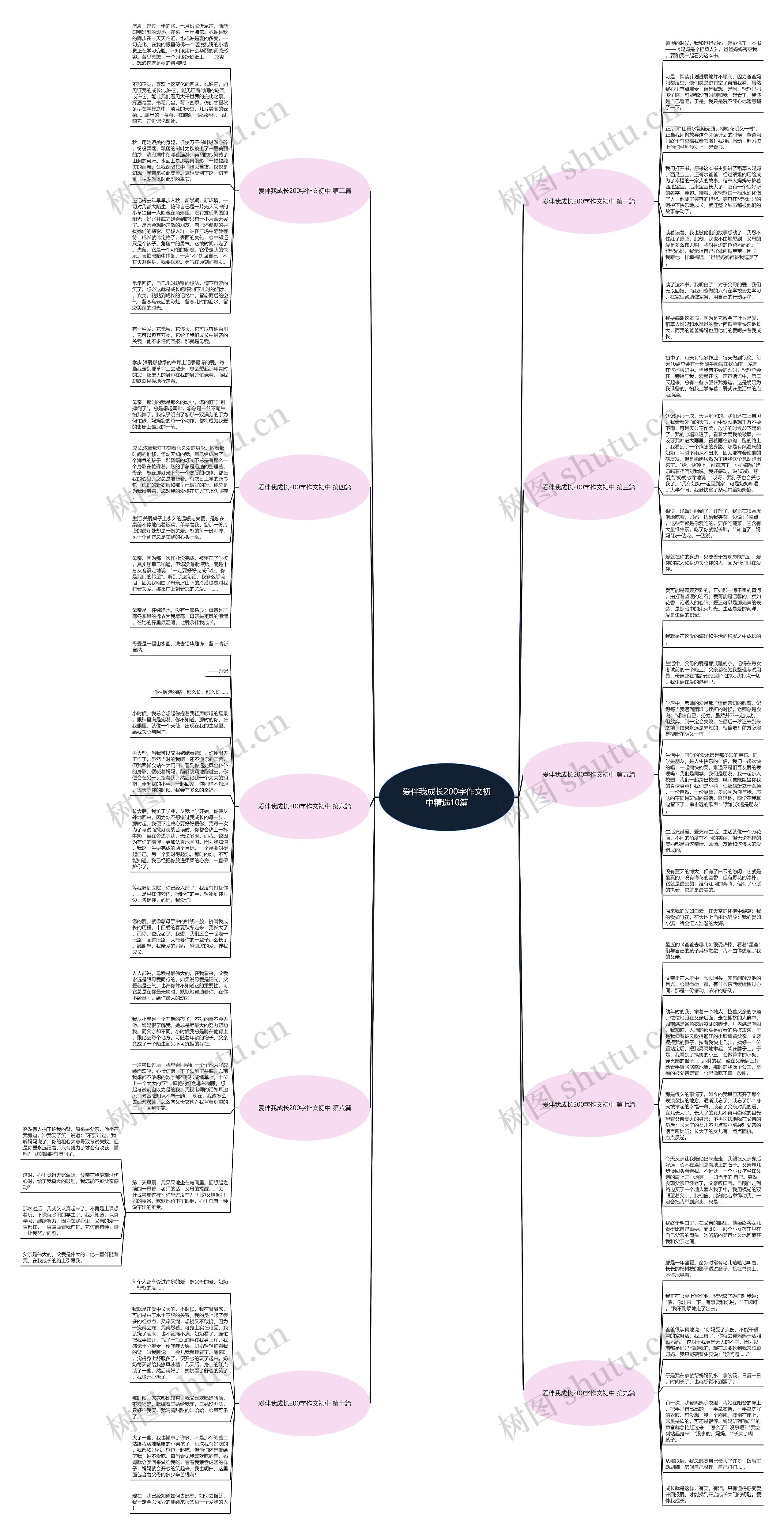 爱伴我成长200字作文初中精选10篇思维导图