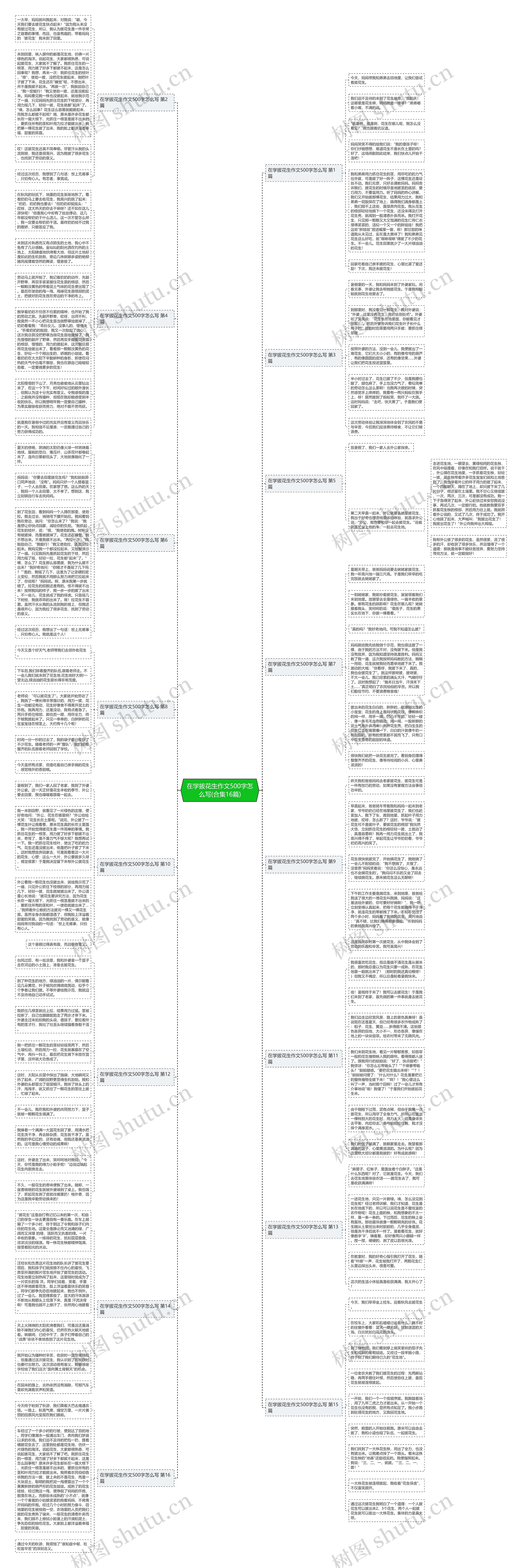 在学拔花生作文500字怎么写(合集16篇)思维导图