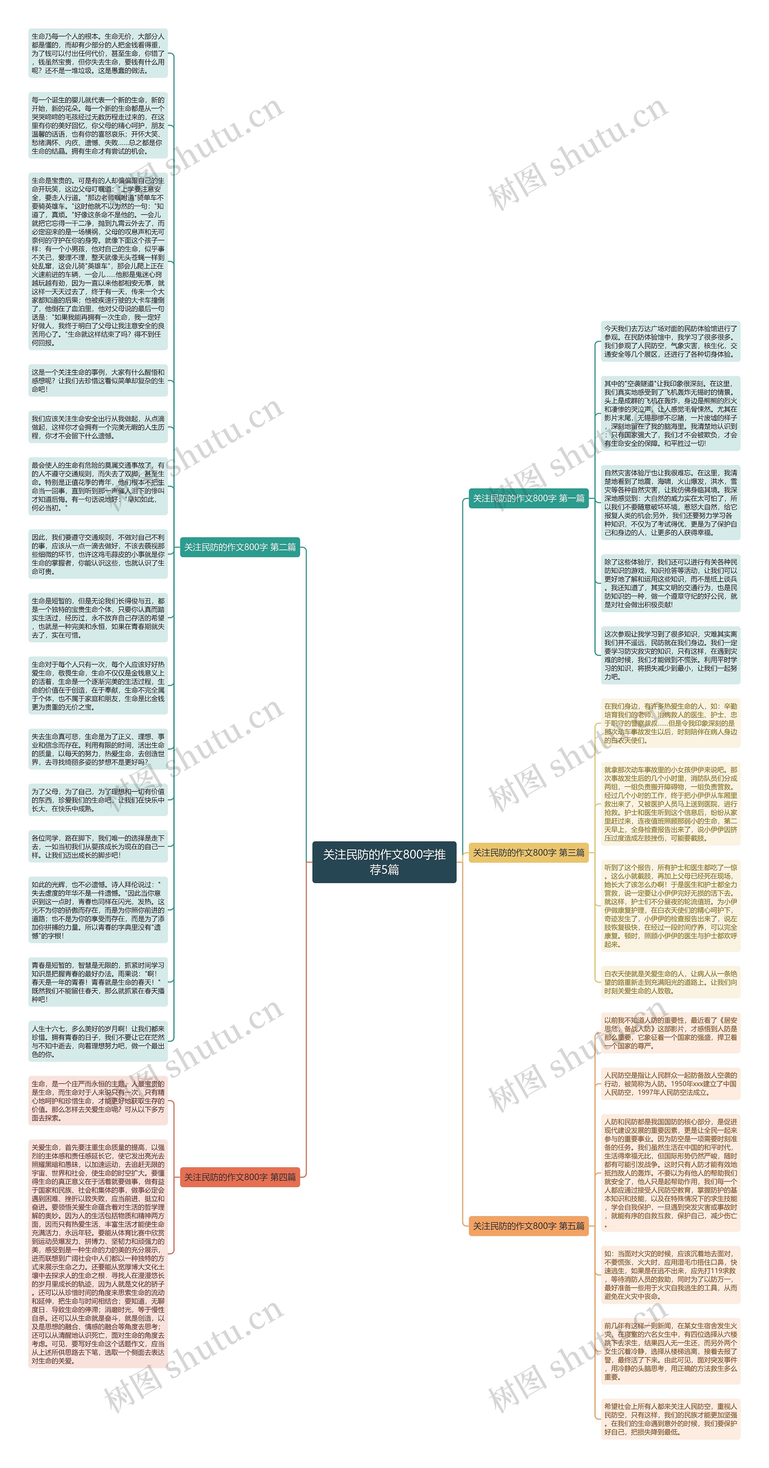 关注民防的作文800字推荐5篇思维导图