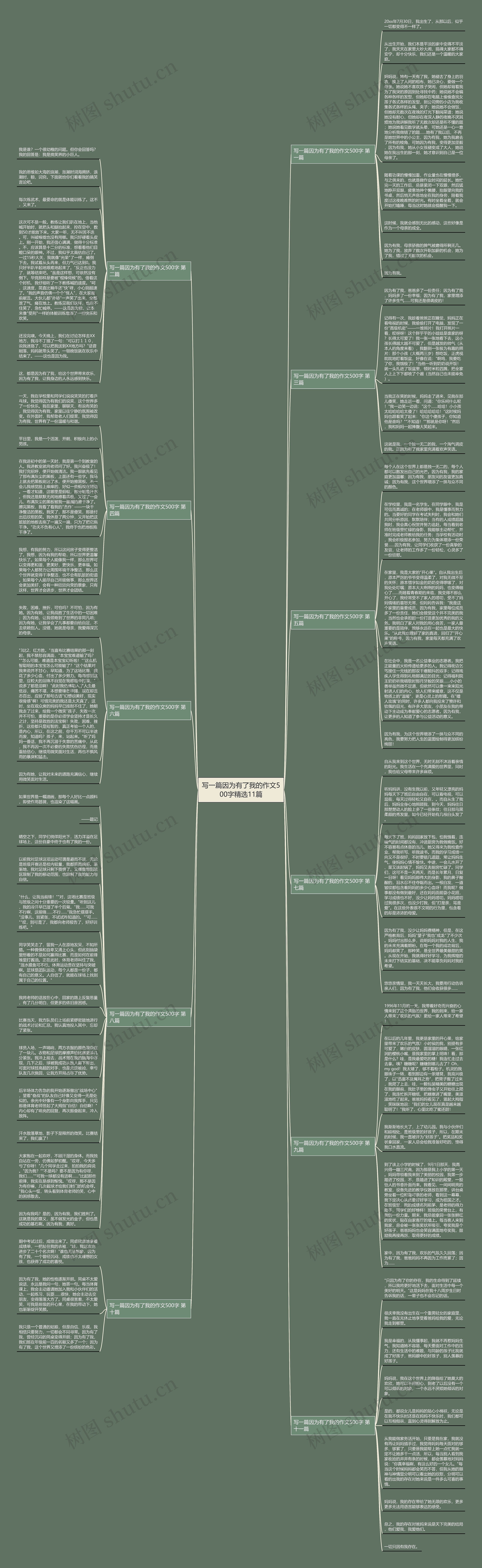写一篇因为有了我的作文500字精选11篇思维导图