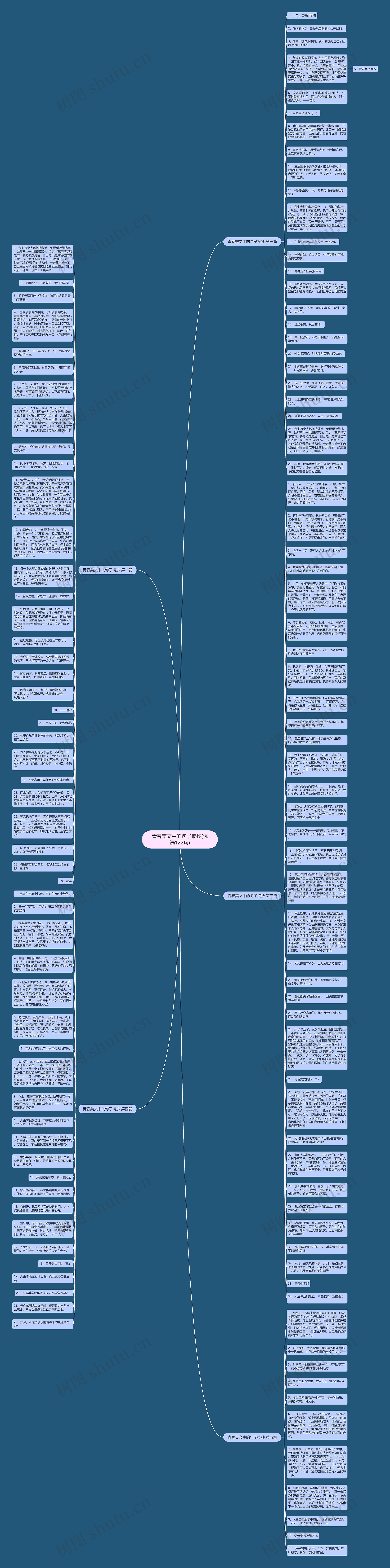 青春美文中的句子摘抄(优选122句)思维导图