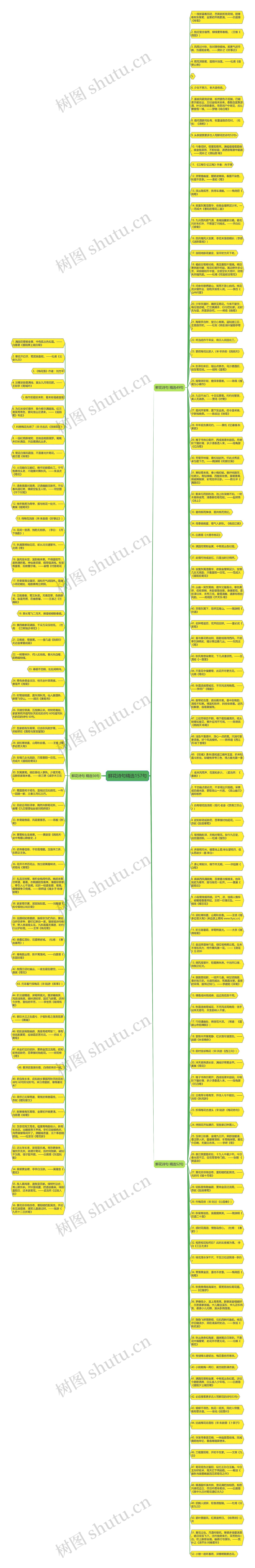 鲜花诗句精选157句思维导图